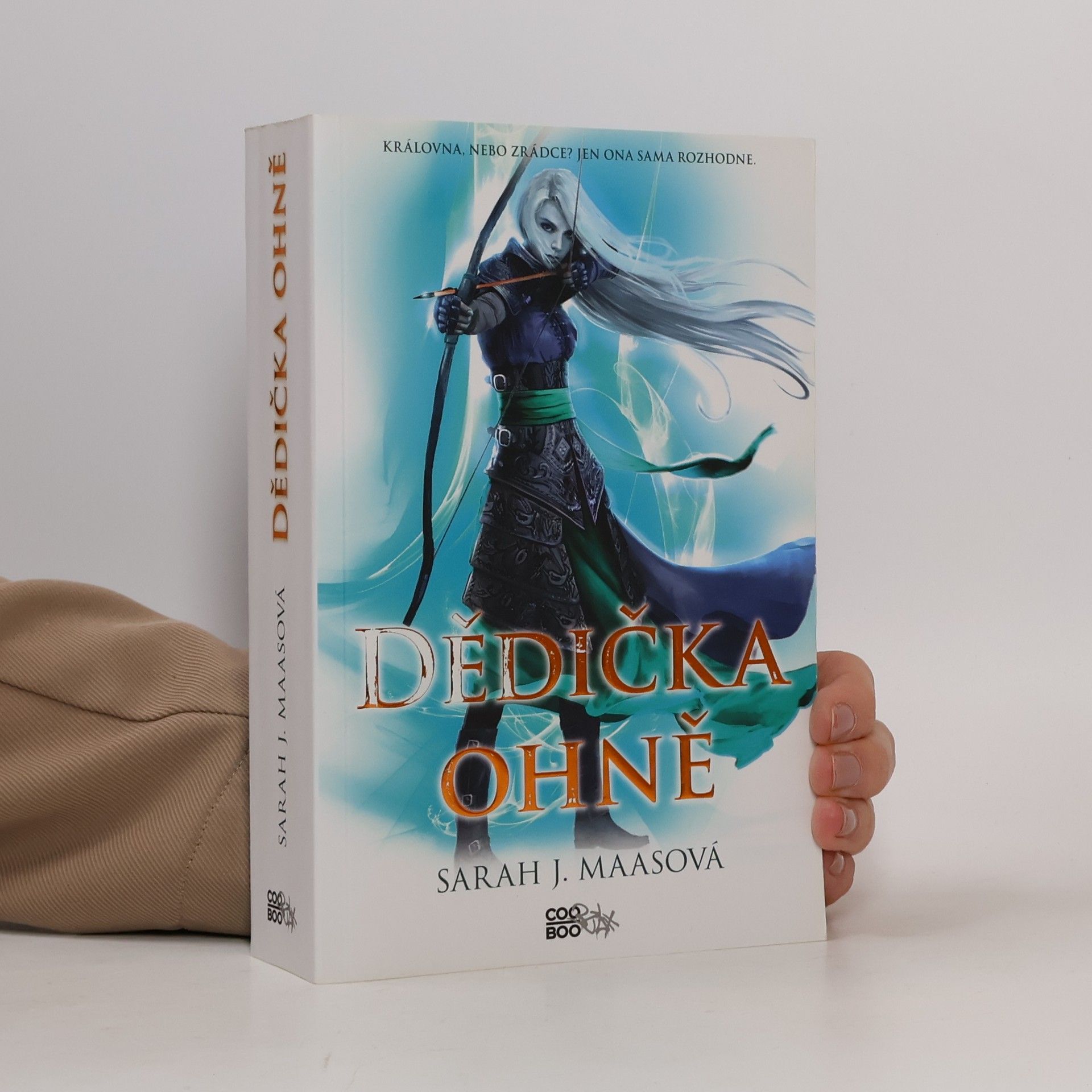 Sarah J. Maas Dědička ohně