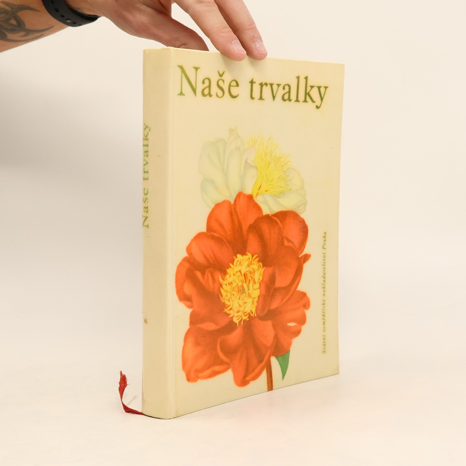 František Machala Naše trvalky