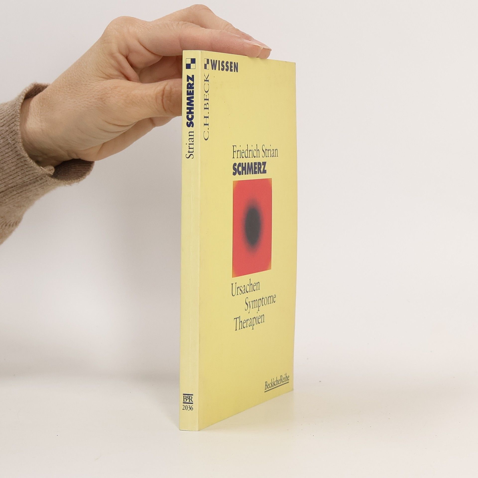 Friedrich Strian Schmerz