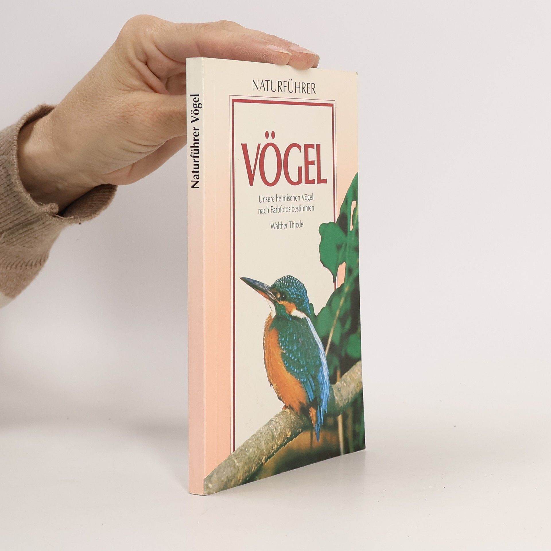 Walther Thiede Vögel