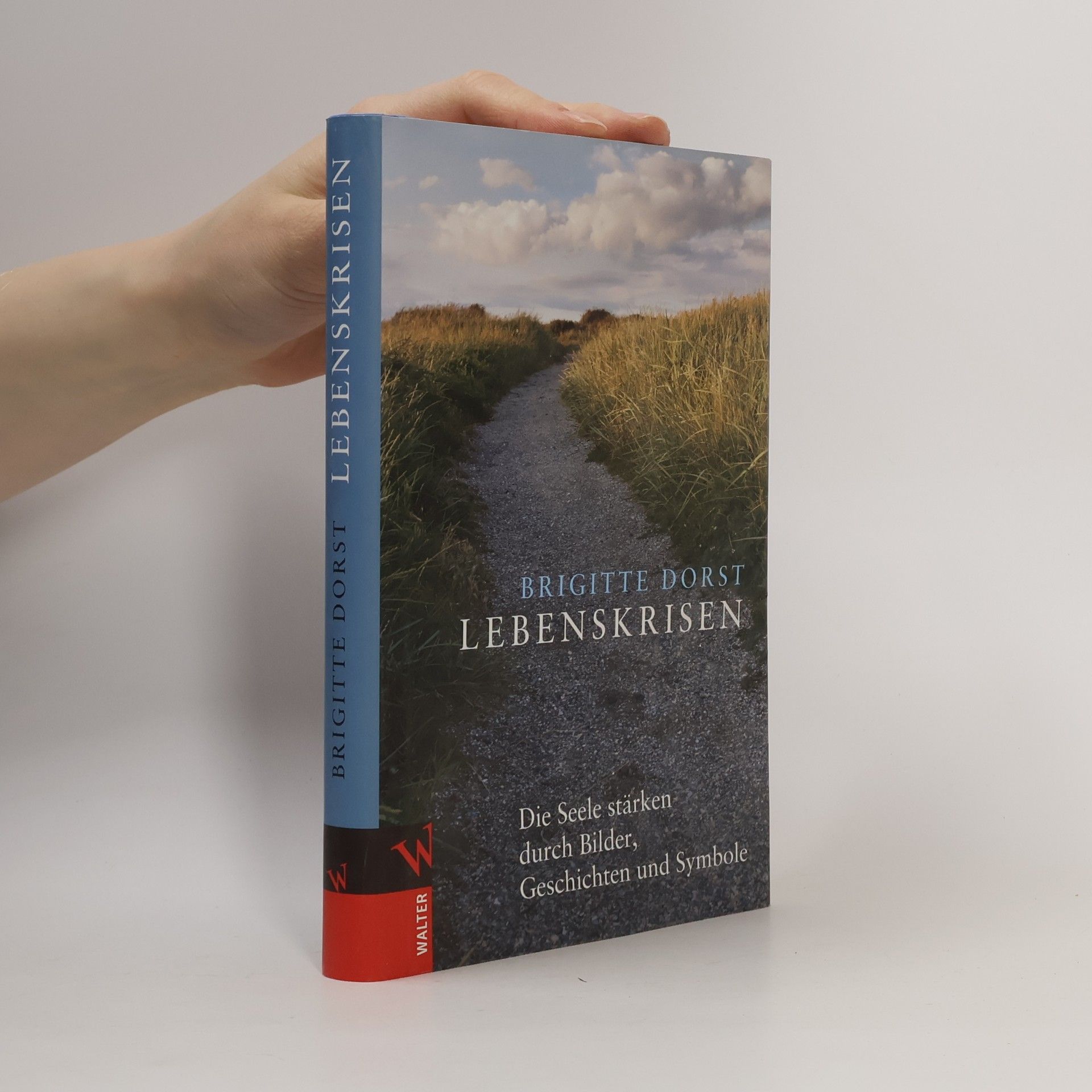 Brigitte Dorst Lebenskrisen