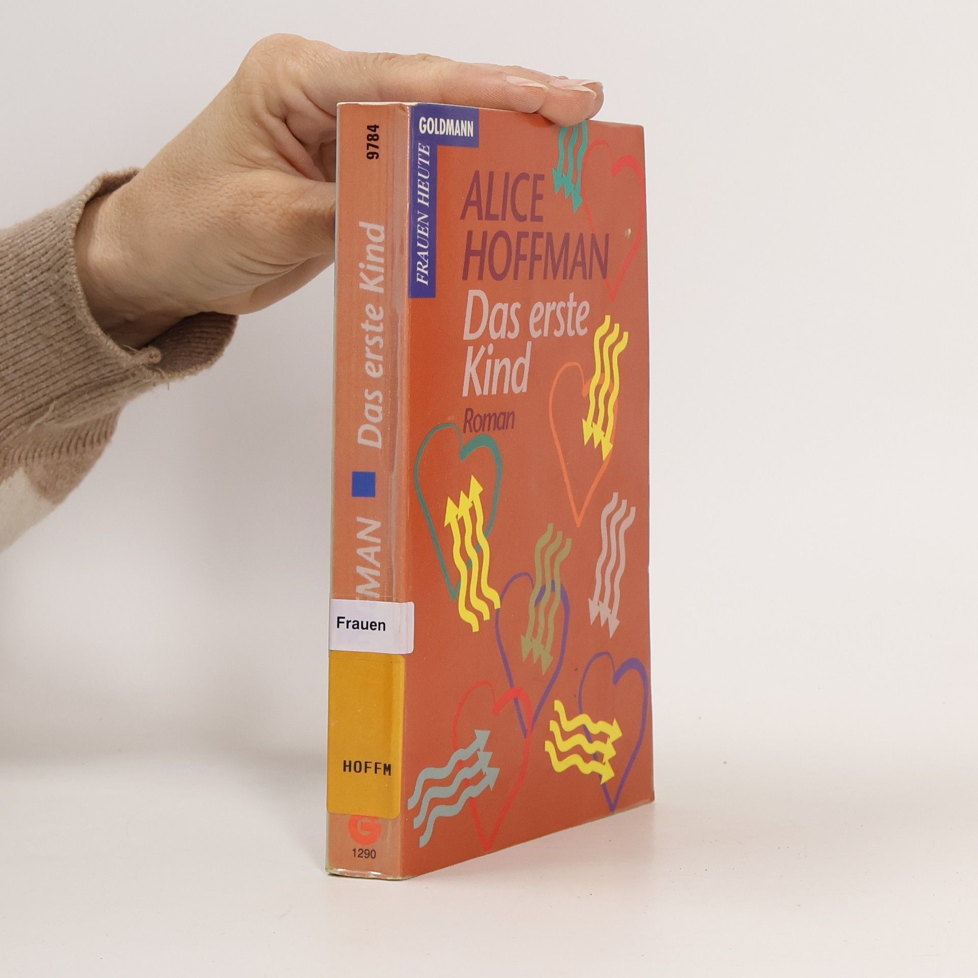 Alice Hoffmann Das erste Kind