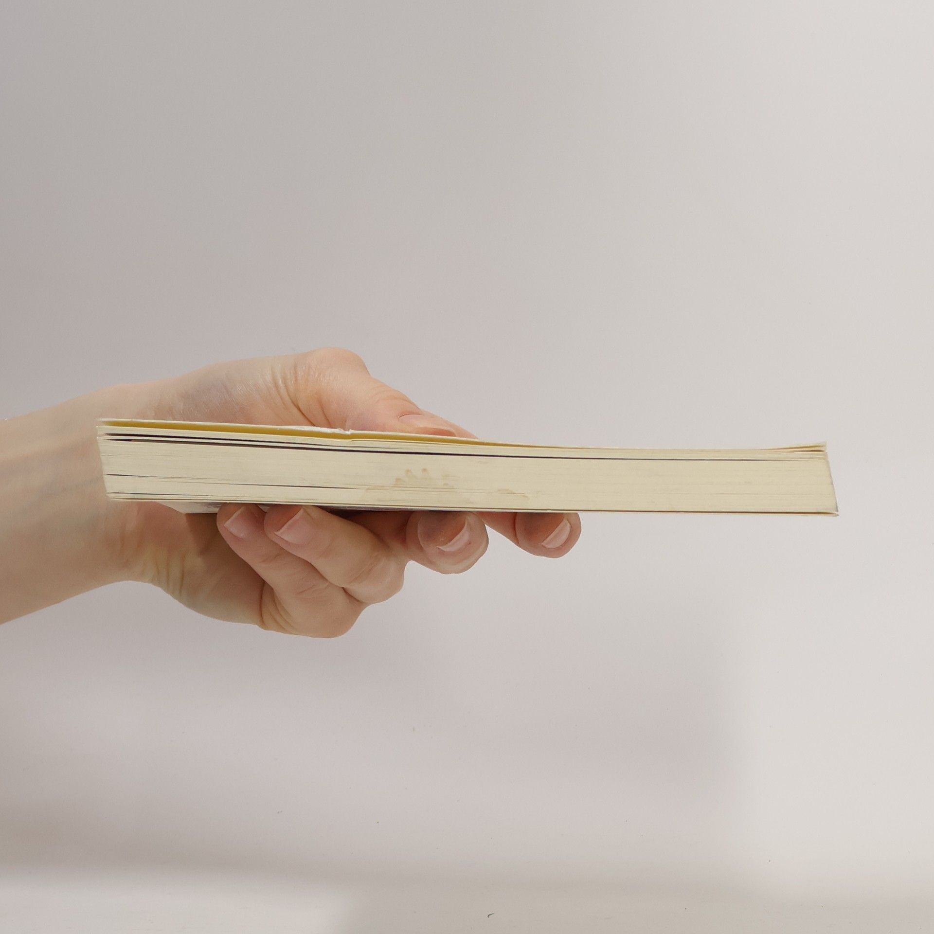 Paulo Coelho Handbuch des Kriegers des Lichts