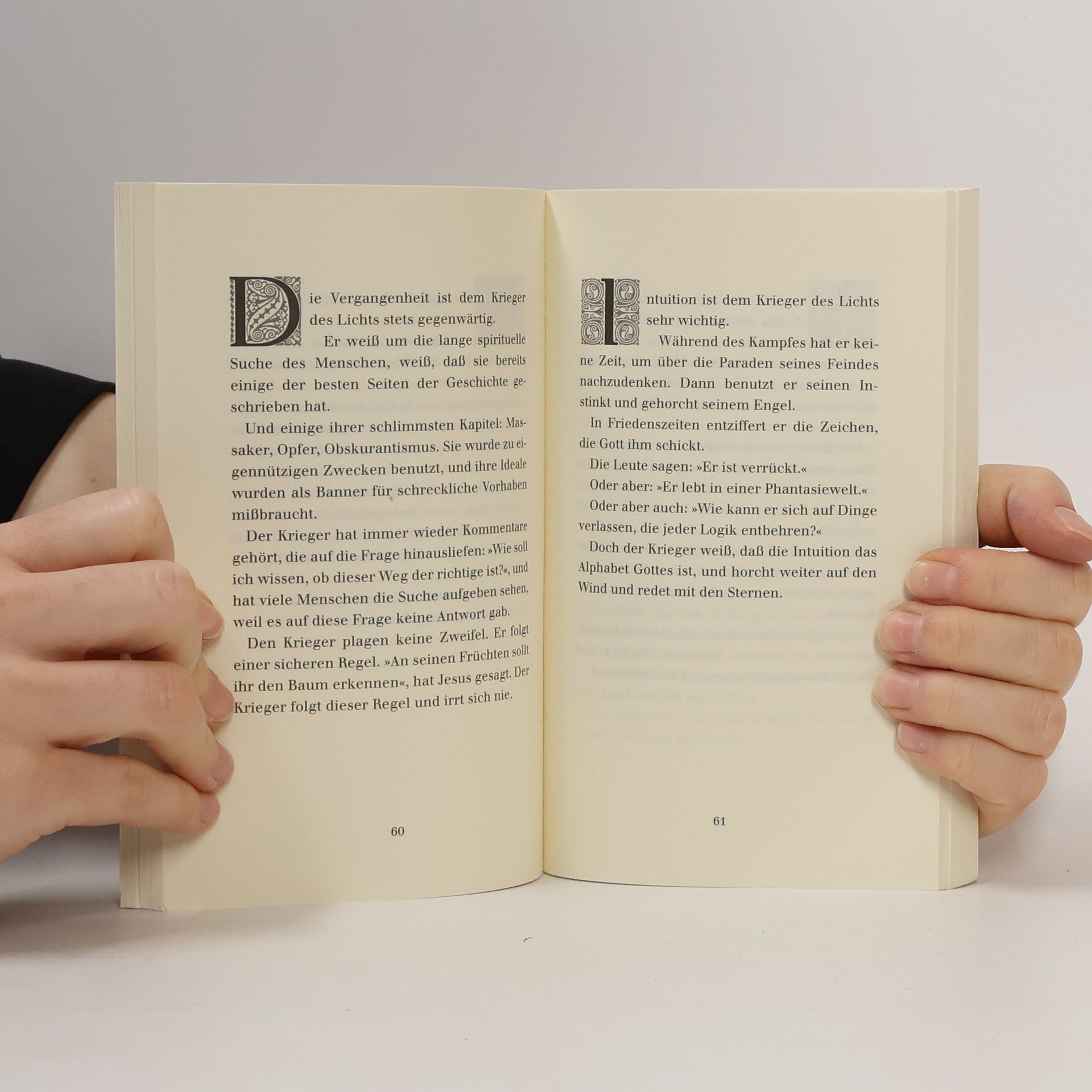 Paulo Coelho Handbuch des Kriegers des Lichts