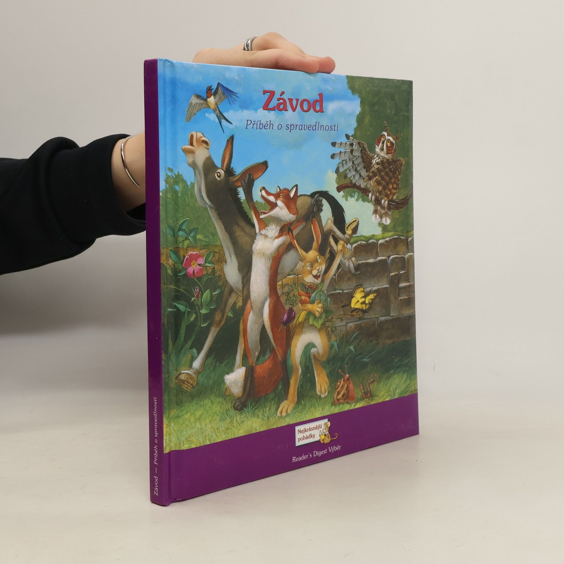 Karen Baicker Závod : příběh o spravedlnosti