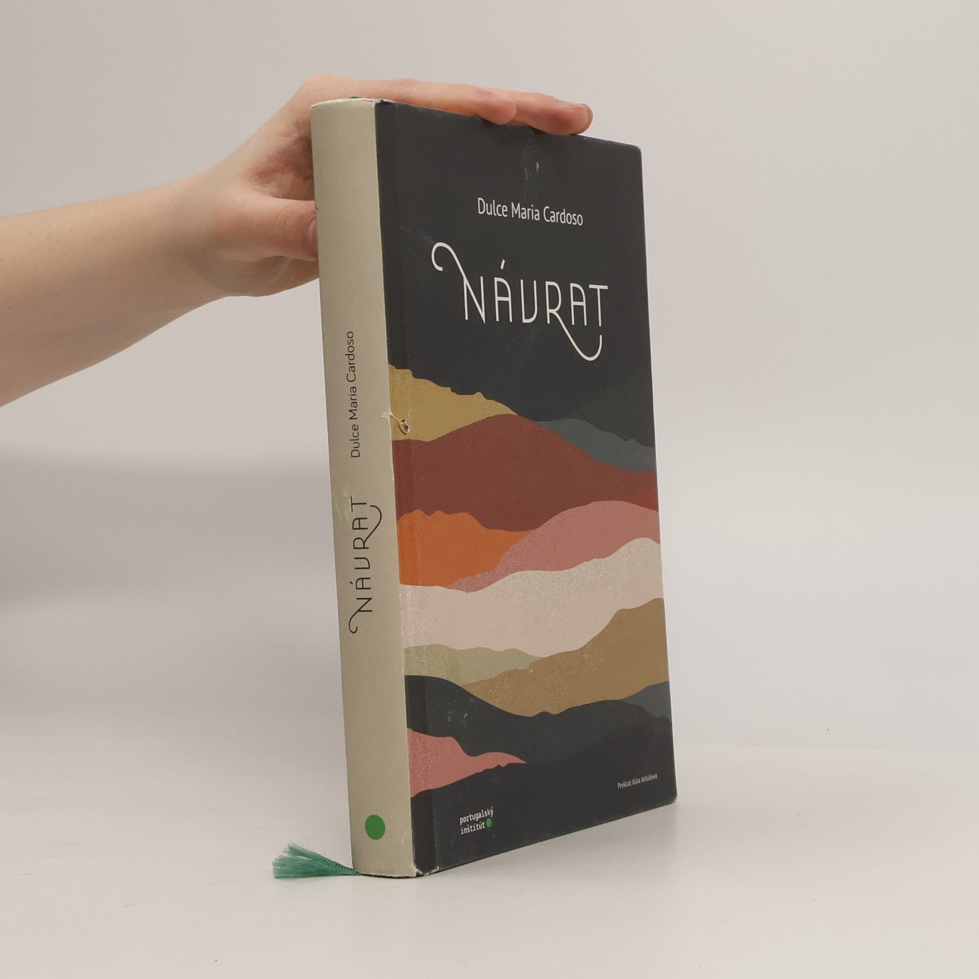 Dulce Maria Cardoso Návrat