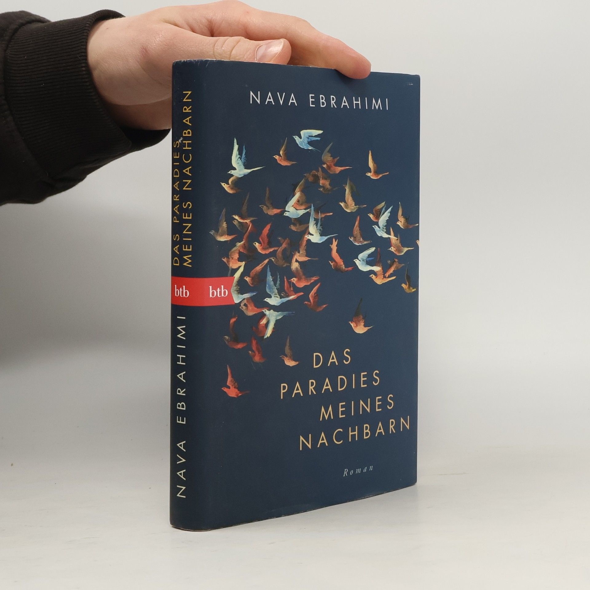 Nava Ebrahimi Das Paradies meines Nachbarn