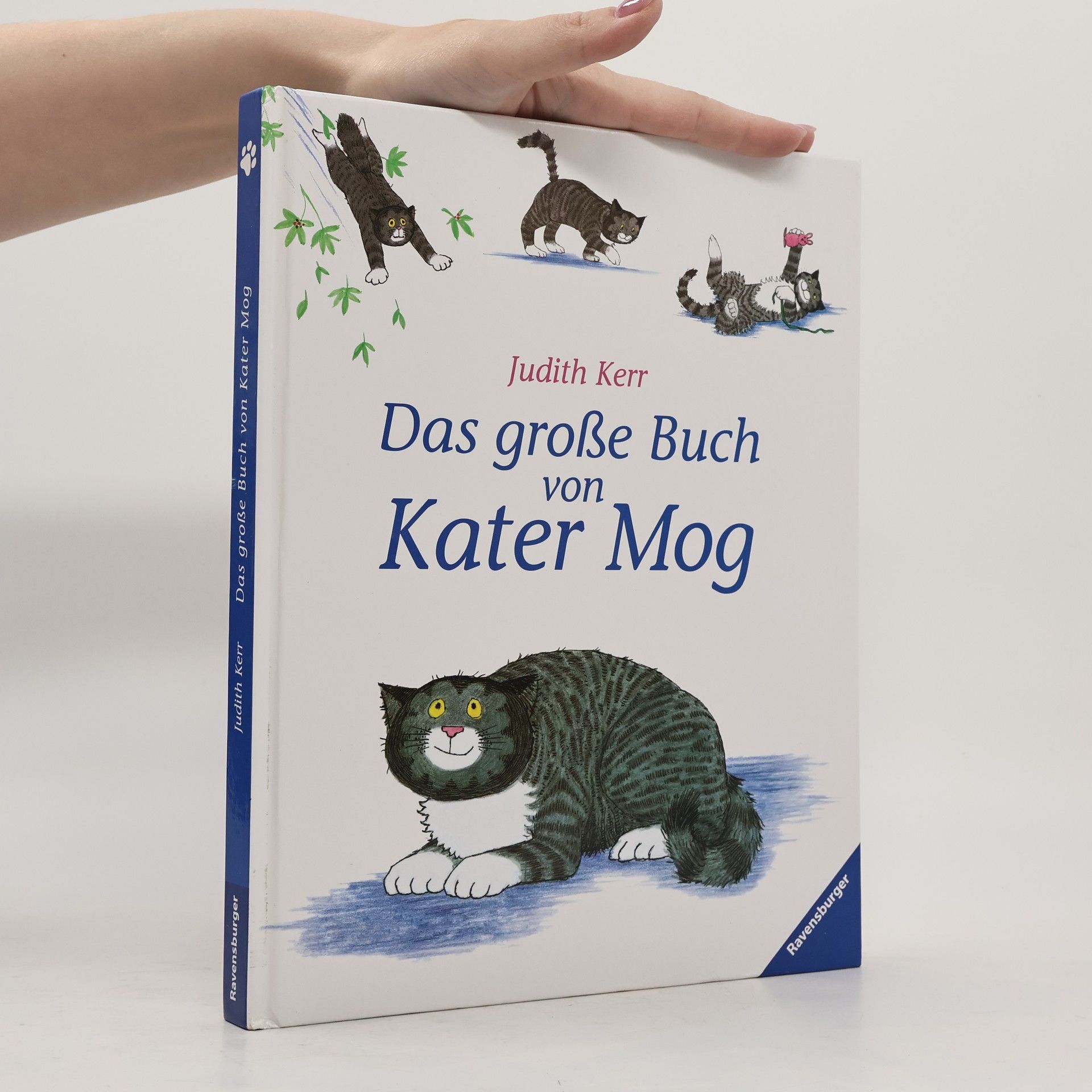 Judith Kerr Das große Buch von Kater Mog