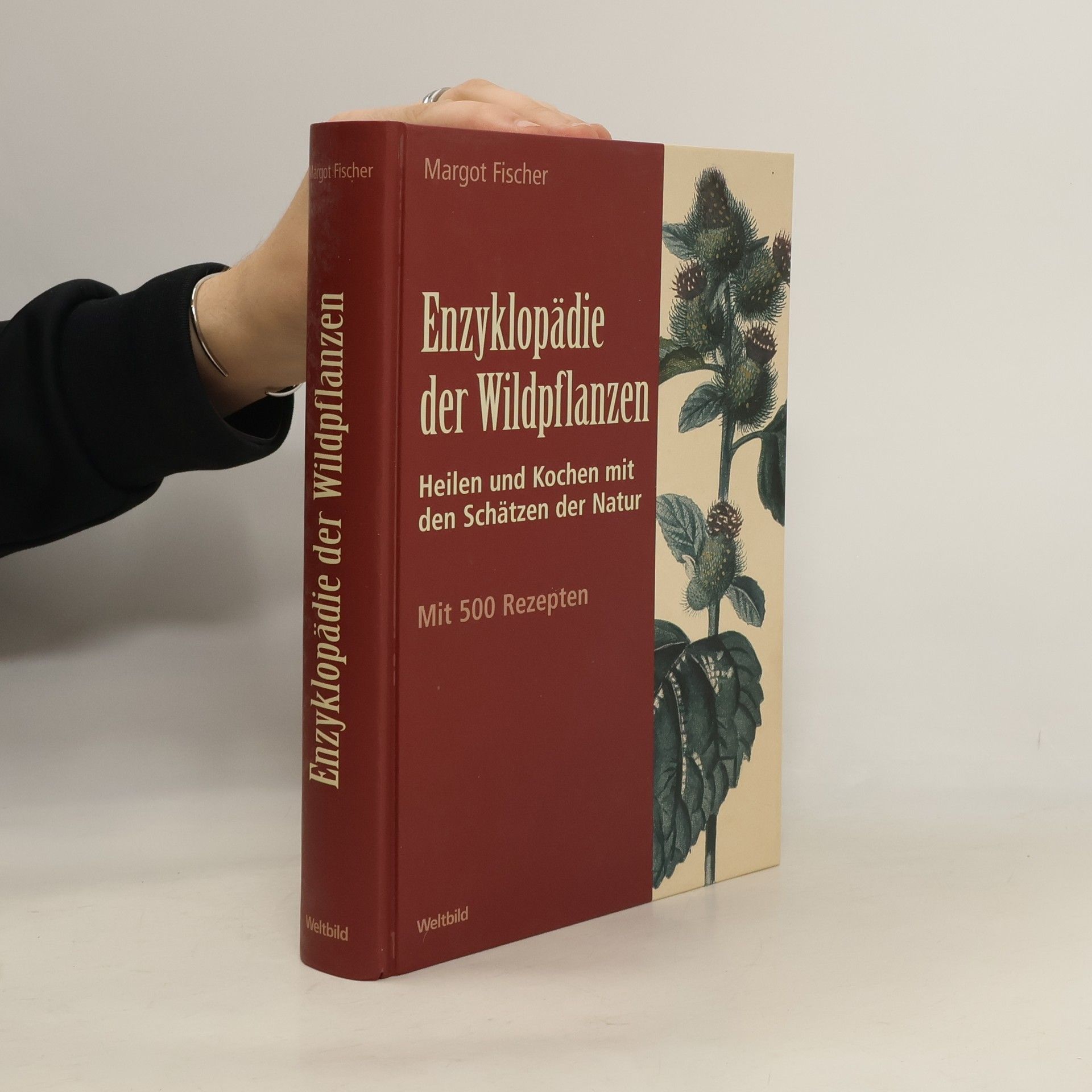 Margot Fischer Enzyklopädie der Wildpflanzen