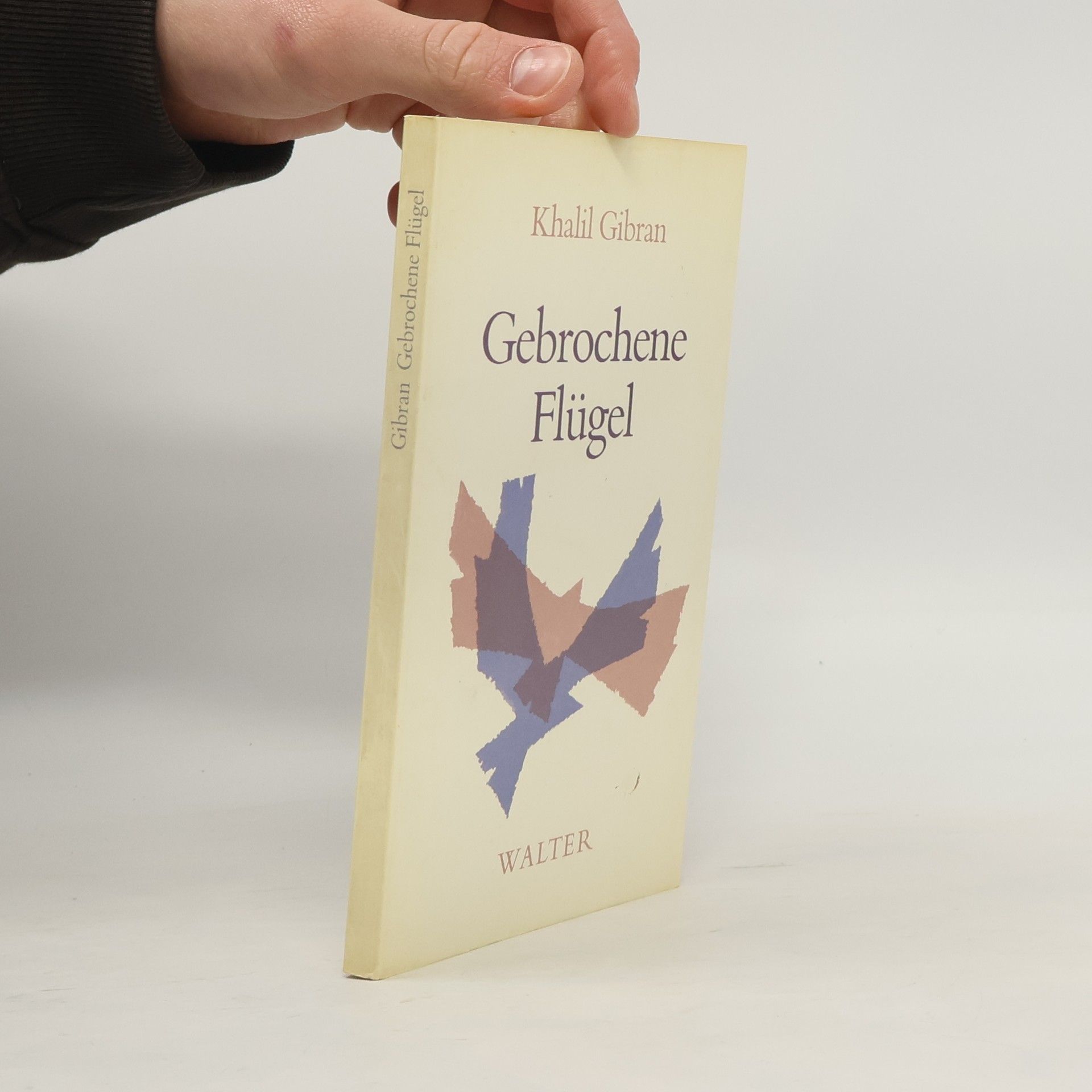 Khalil Gibran Gebrochene Flügel