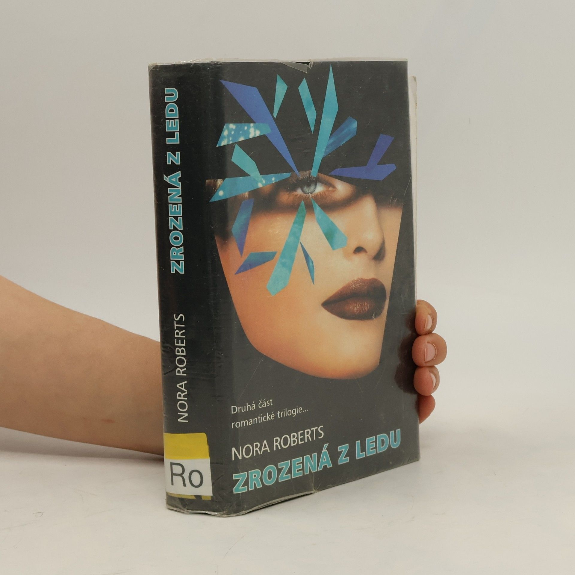 Nora Roberts Zrozená z ledu