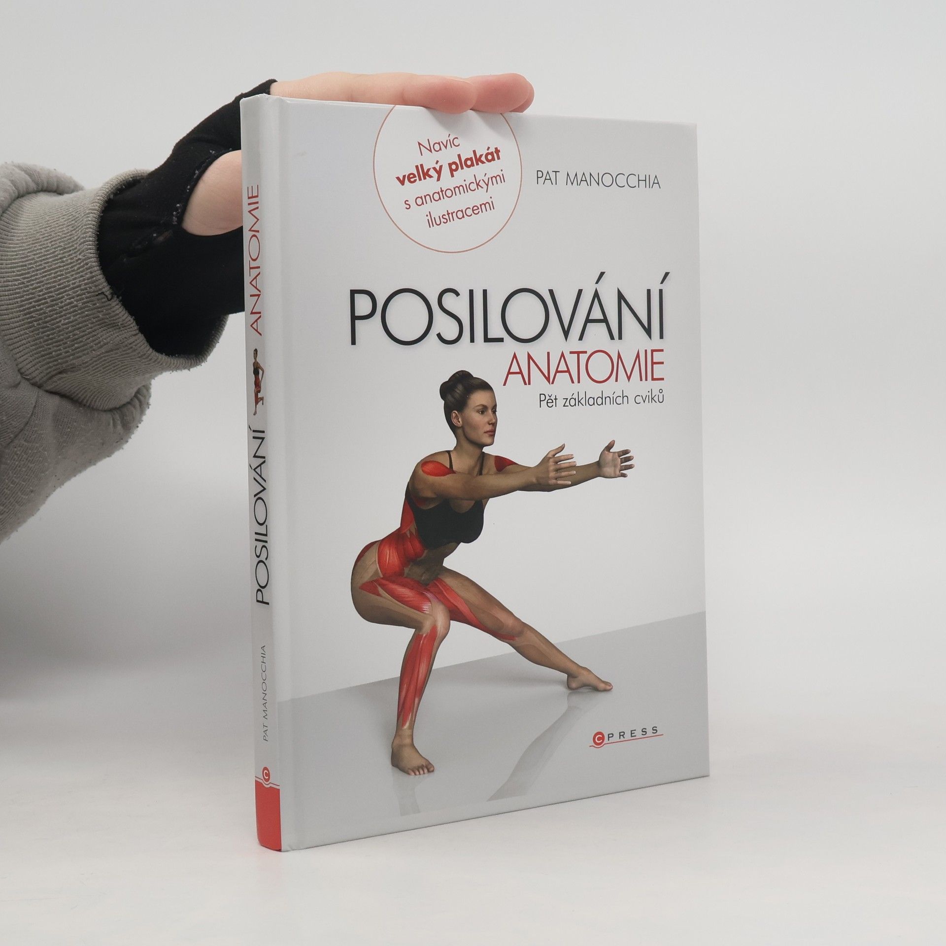 Pat Manocchia Posilování - anatomie. Pět základních cviků