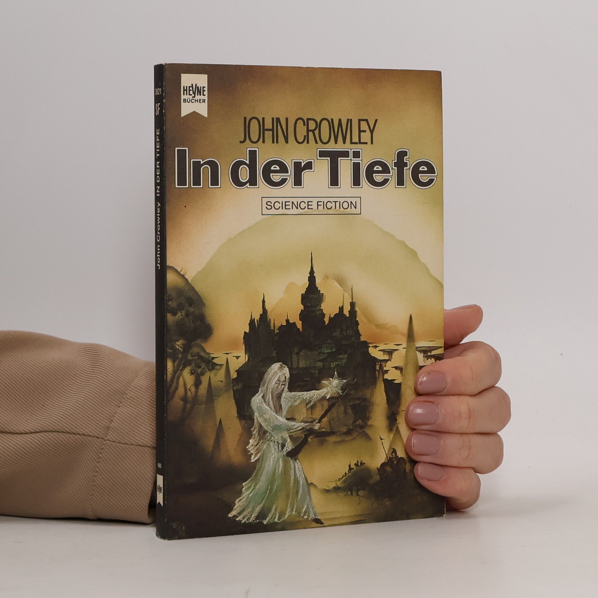 John Crowley In der Tiefe
