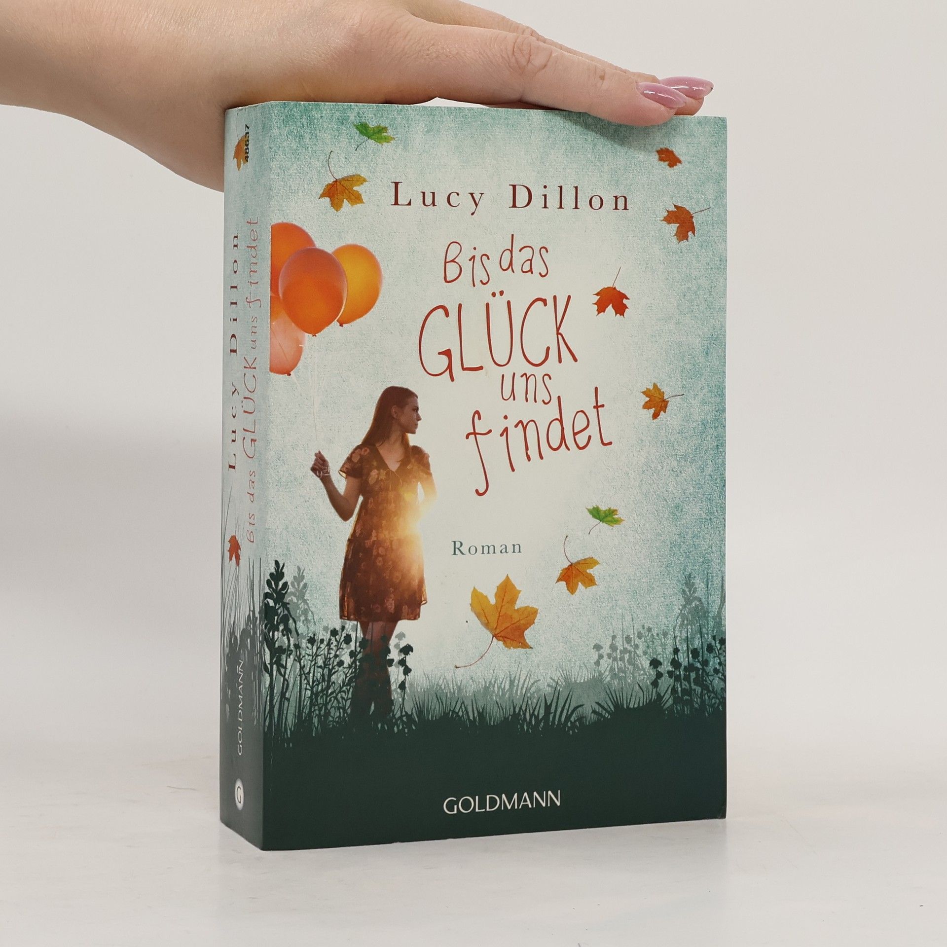Lucy Dillon Bis das Glück uns findet