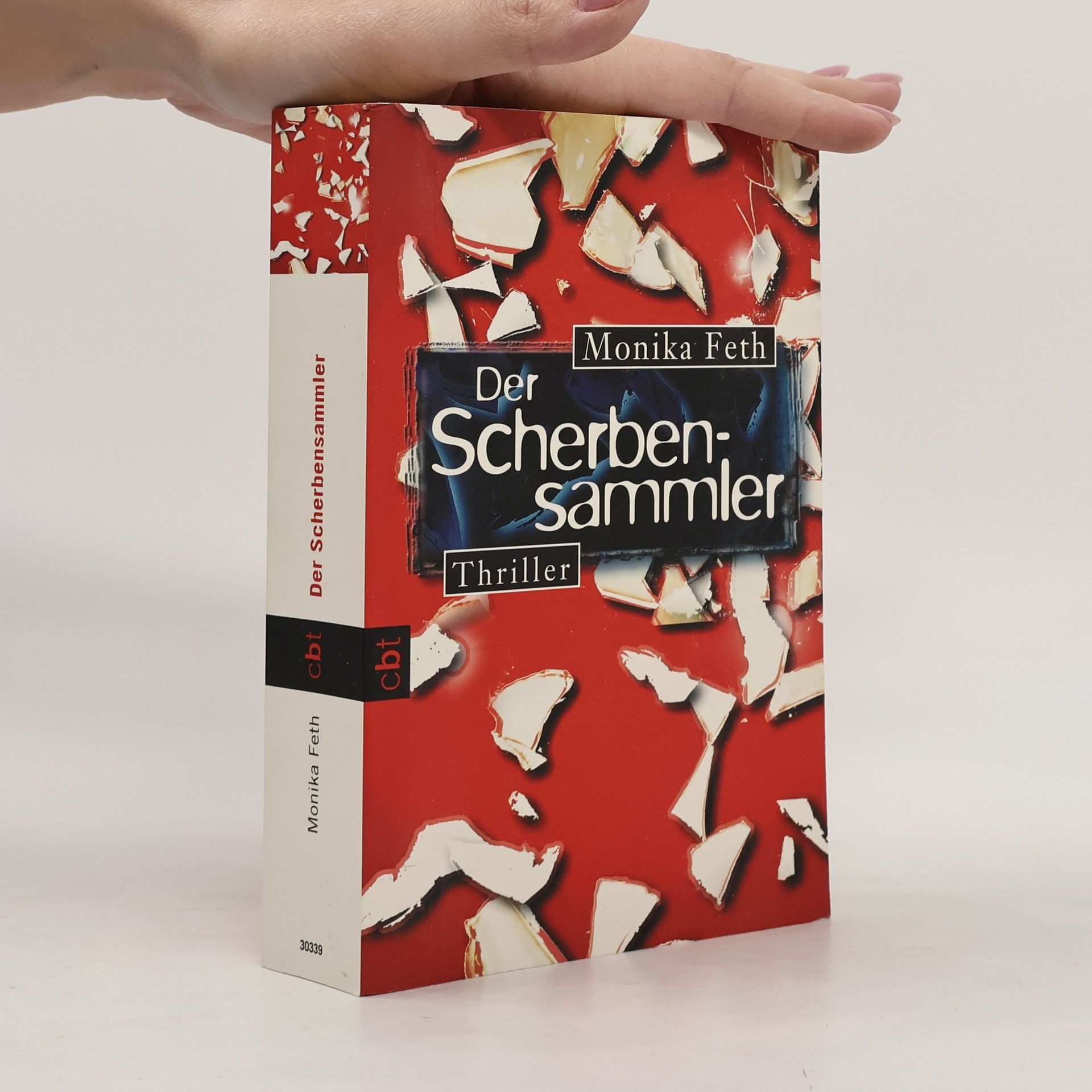 Monika Feth Der Scherbensammler