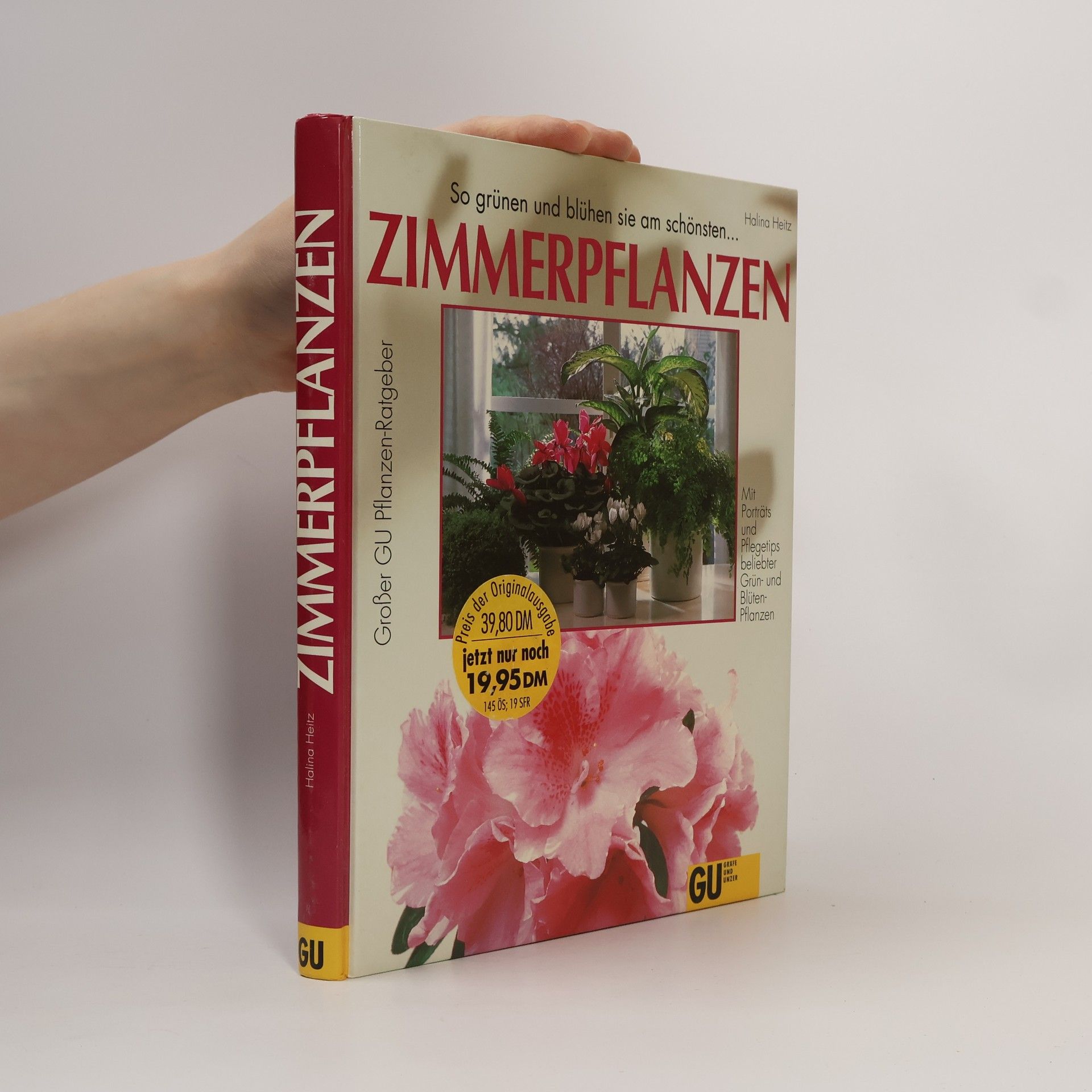 Halina Heitz Zimmerpflanzen
