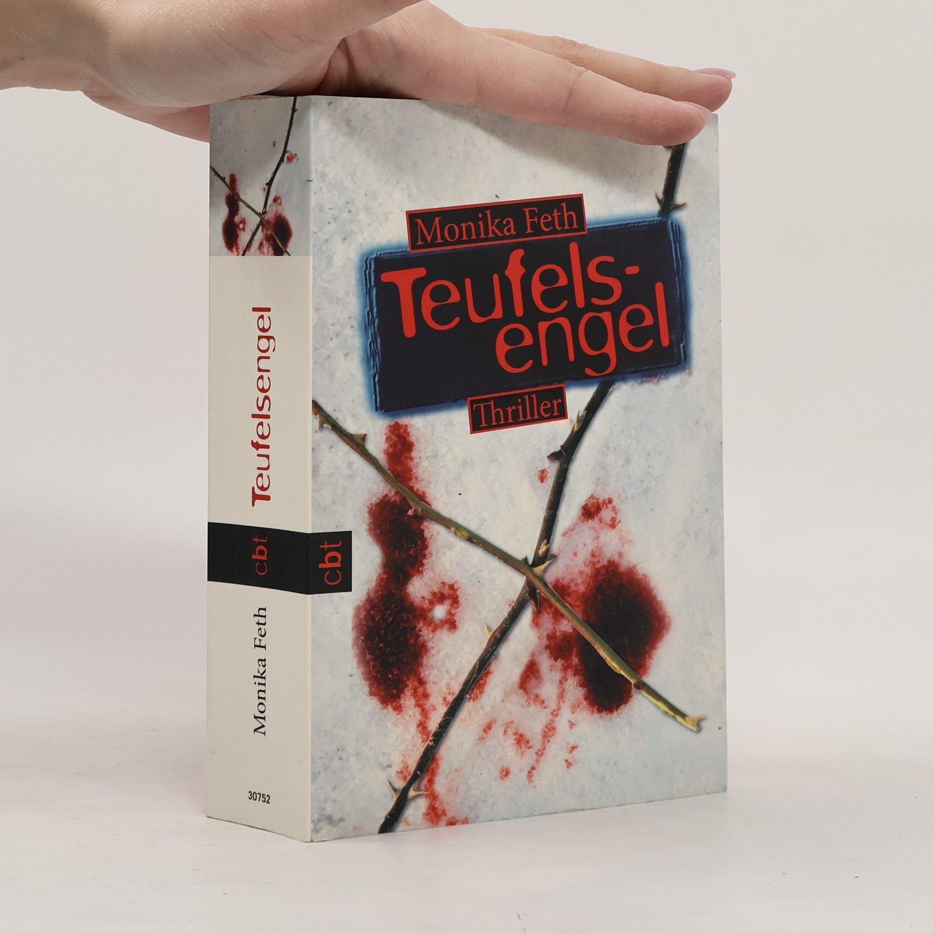 Monika Feth Teufelsengel
