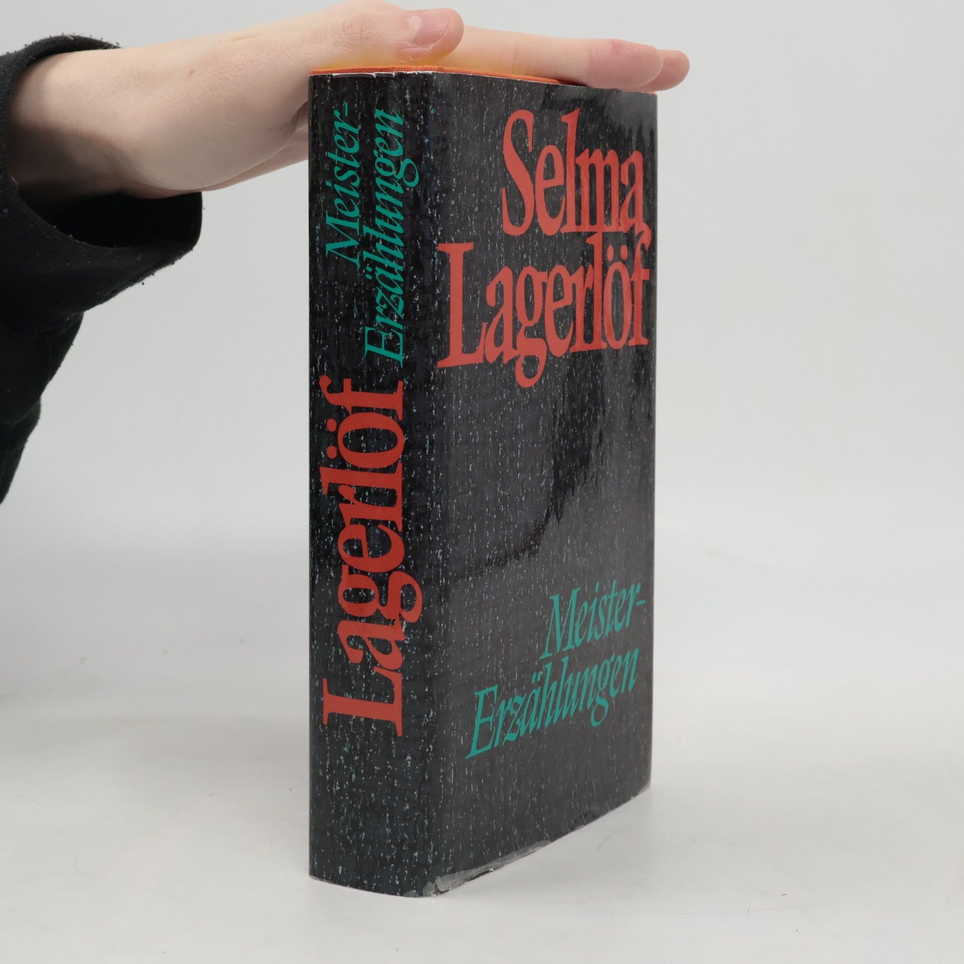 Selma Lagerlöf Der Stein im See Fünf Erzählungen