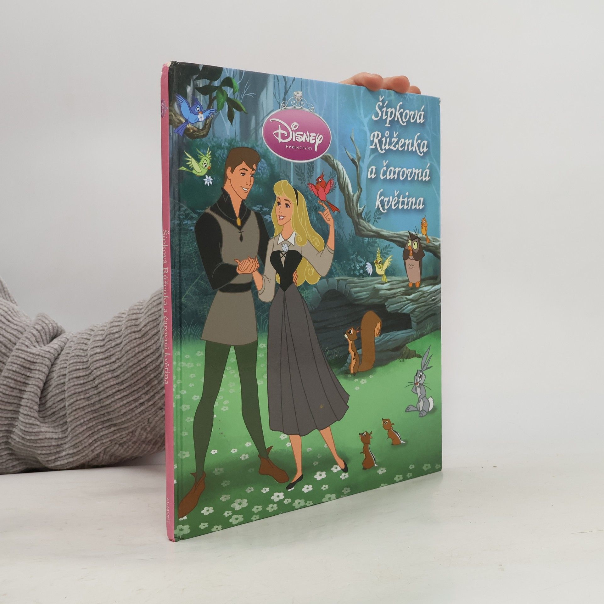 Walt Disney Šípková Růženka a čarovná květina