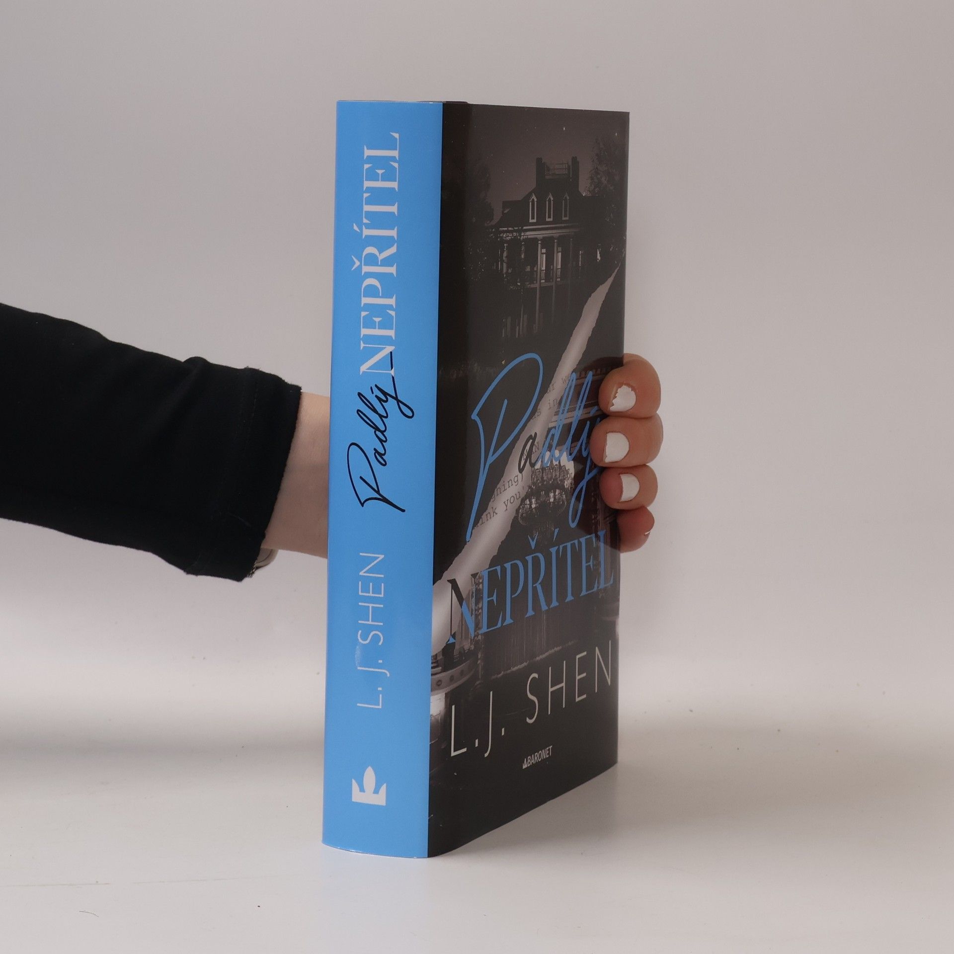 L. J. Shen Cruel Castaways 2. Padlý nepřítel