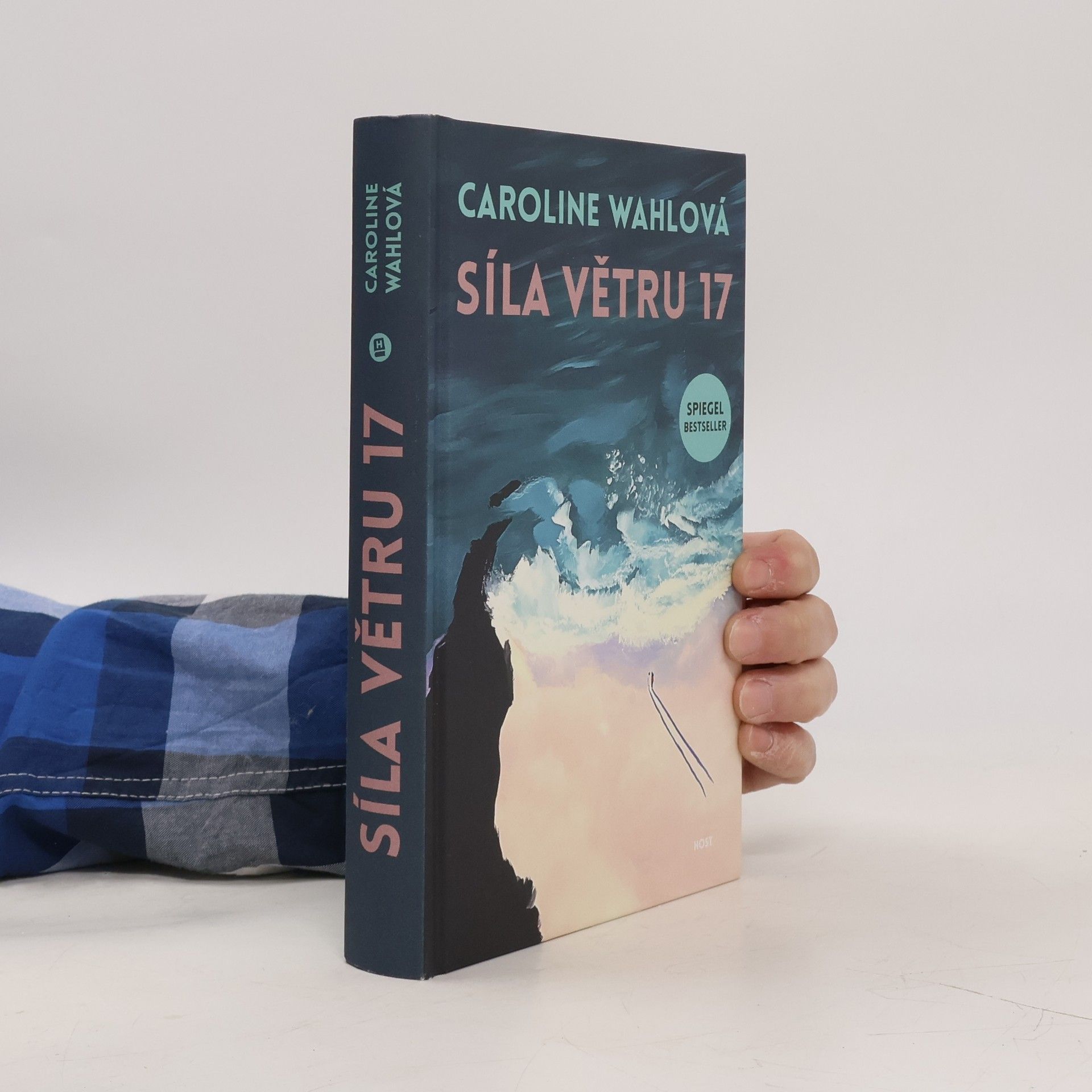 Caroline Wahl Síla větru 17