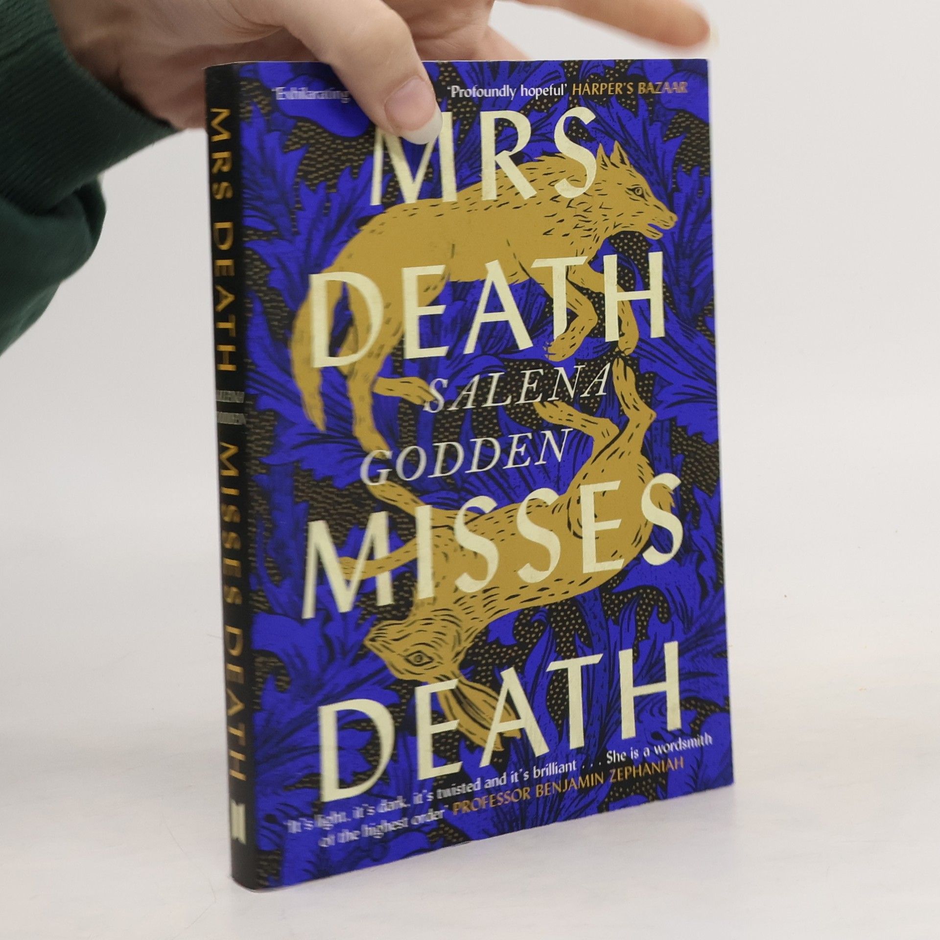 Salena Godden Mrs Death Misses Death