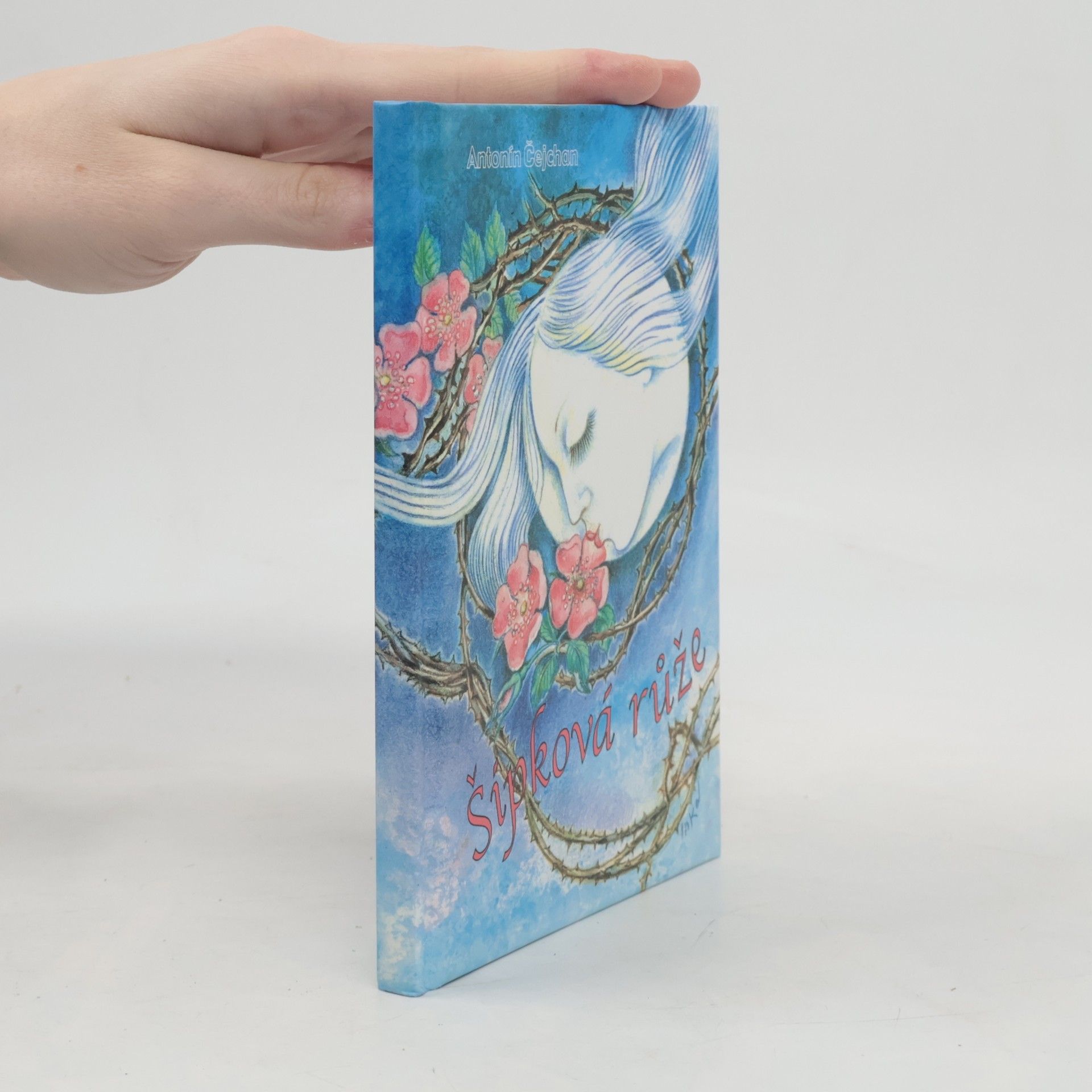 Antonín Čejchan Šípková růže