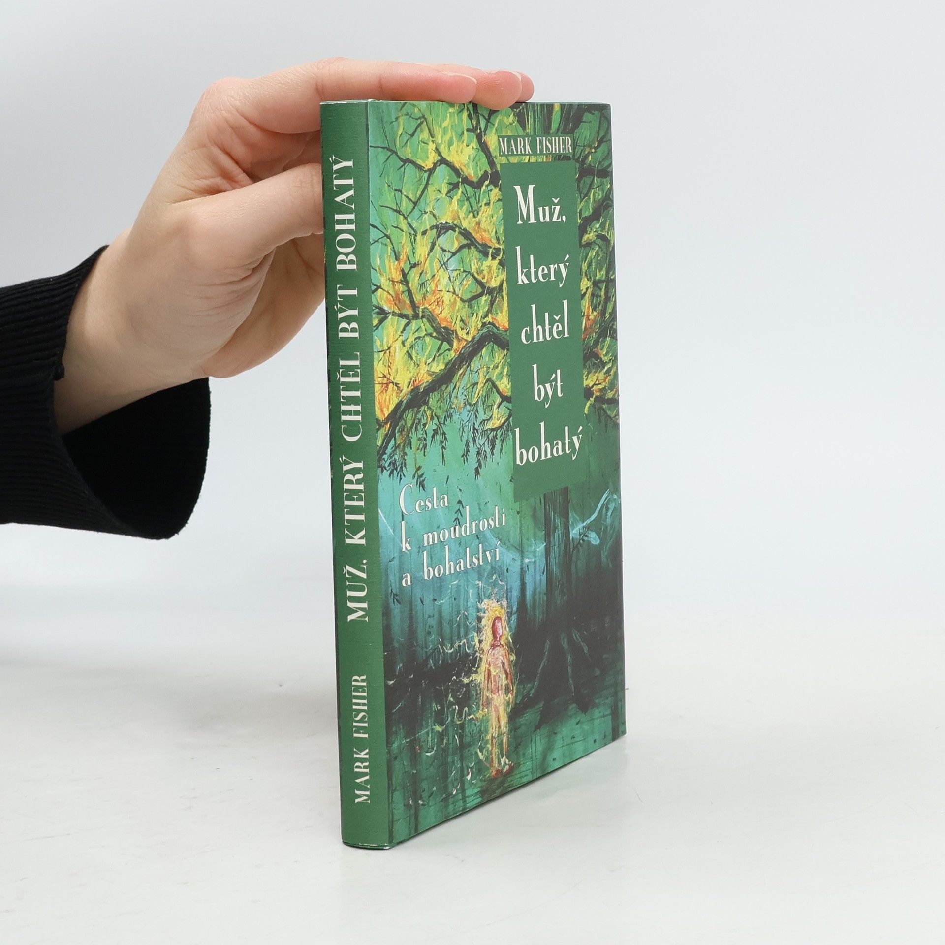 Mark Fisher Muž, který chtěl být bohatý