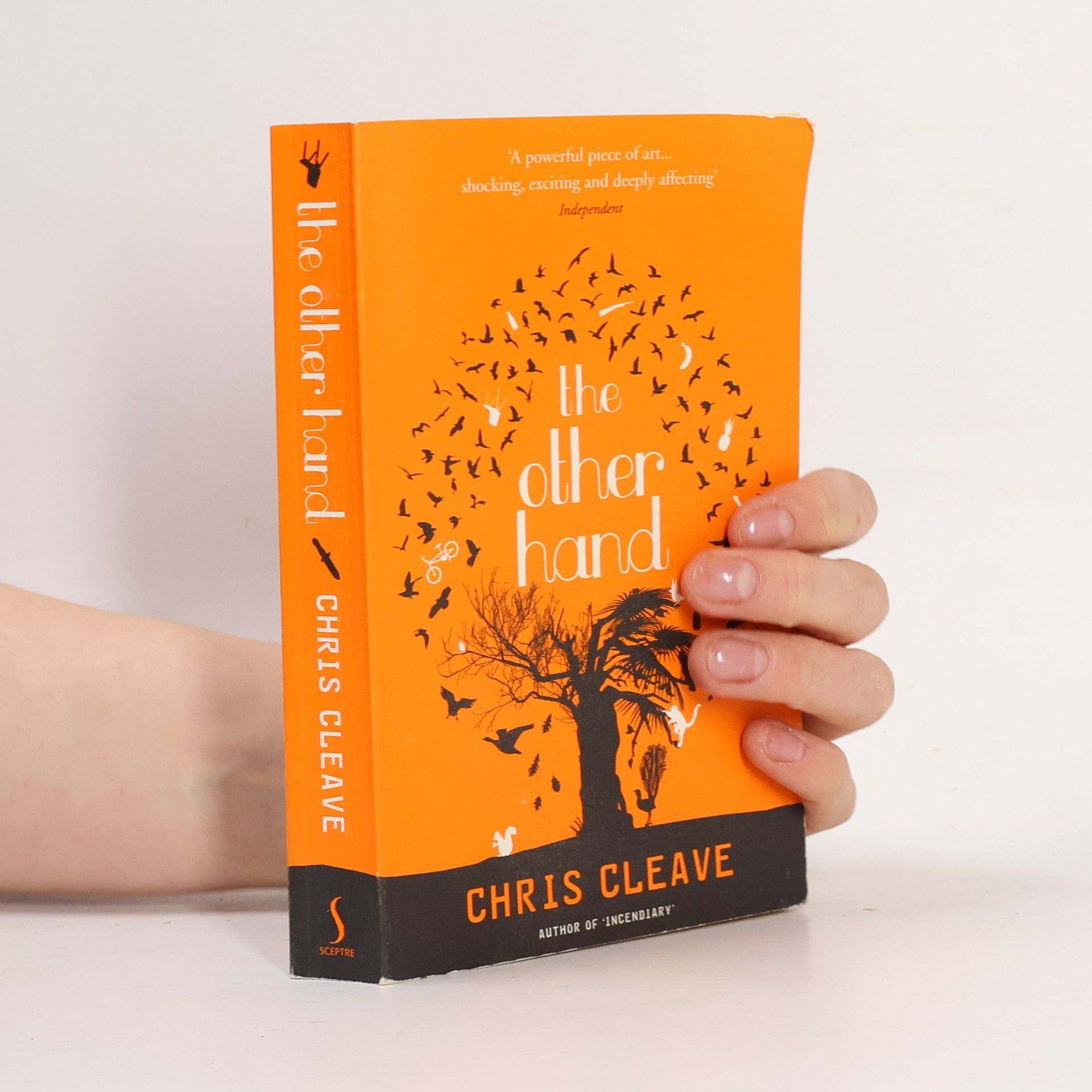 Chris Cleave The other hand