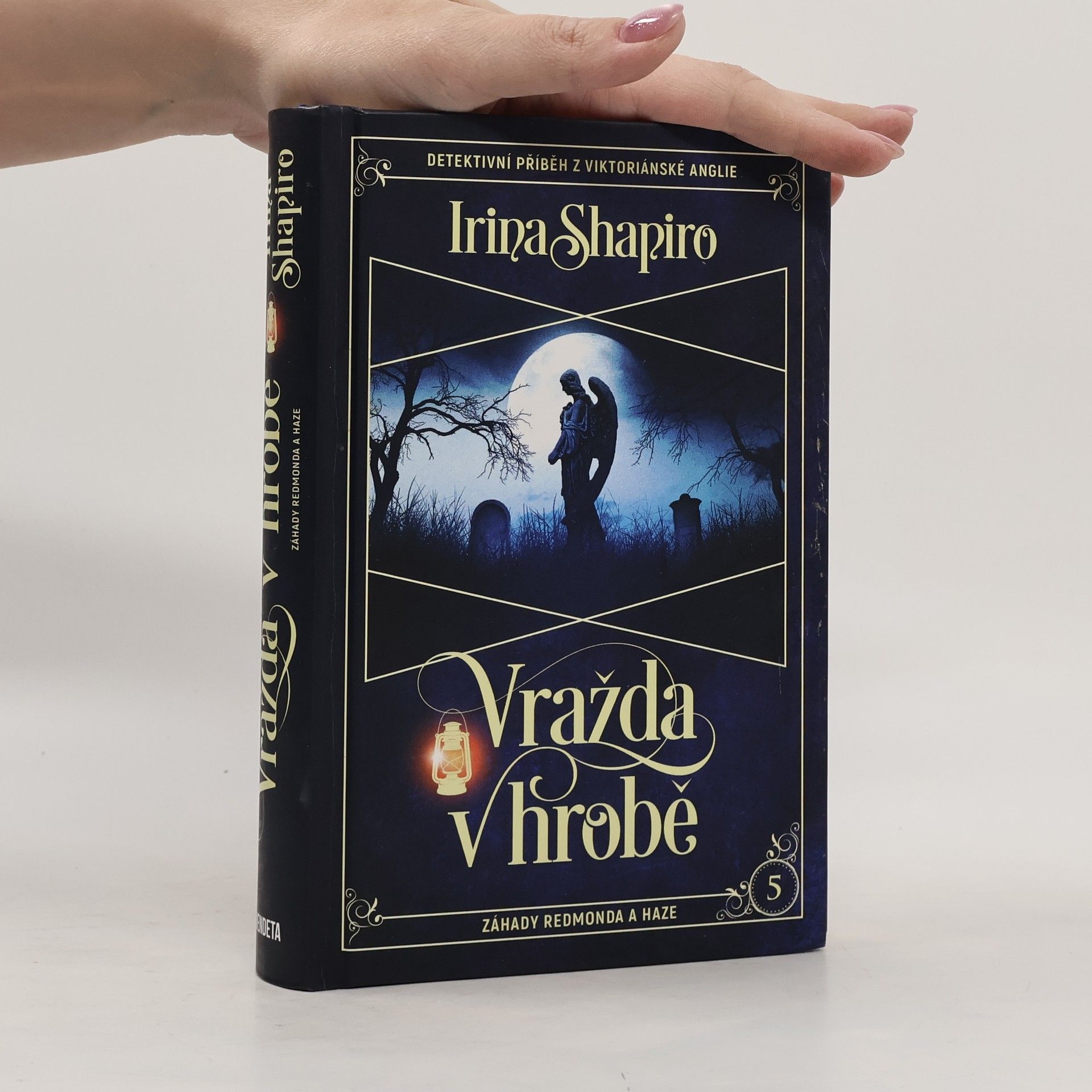 Irina Shapiro Vražda v hrobě