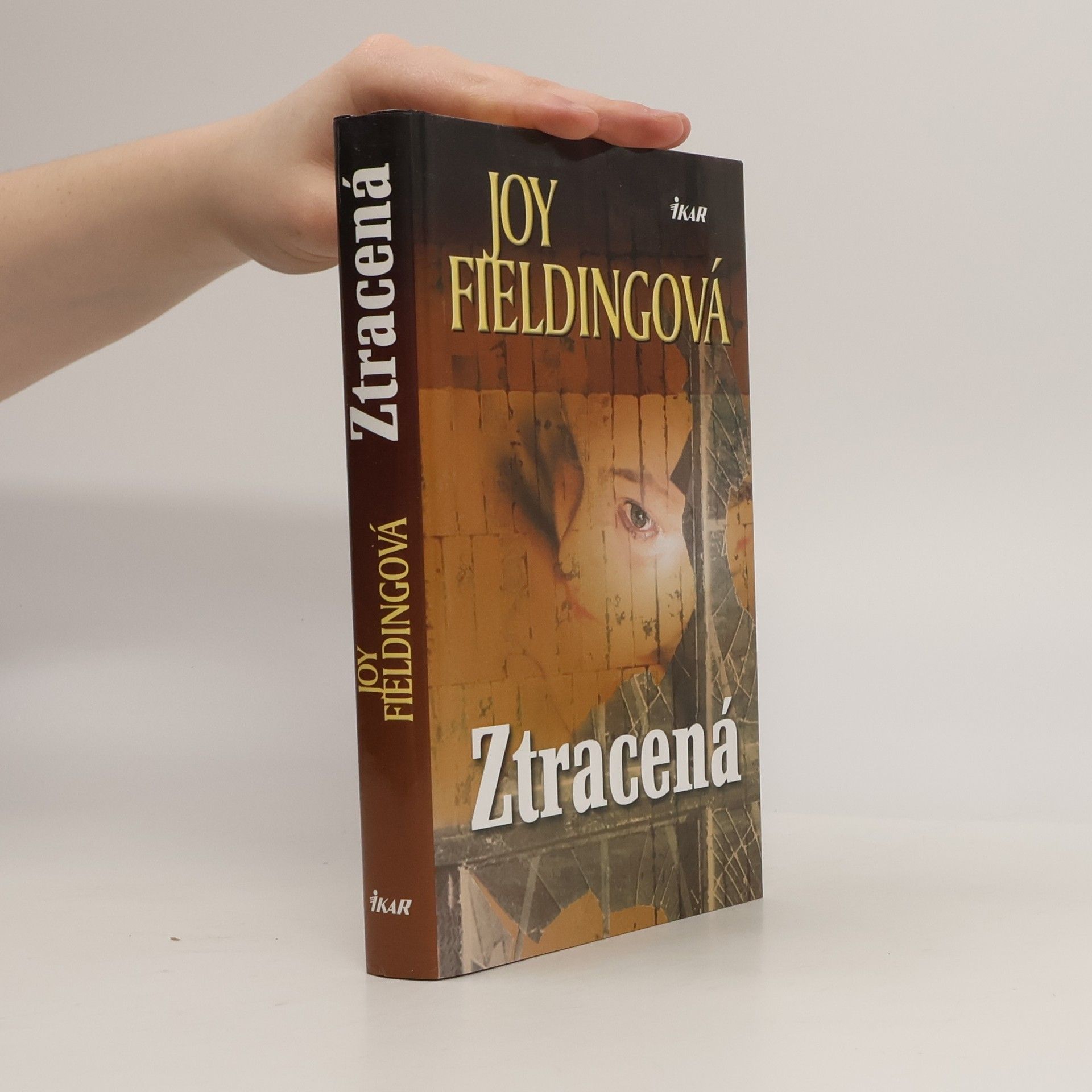 Joy Fielding Ztracená