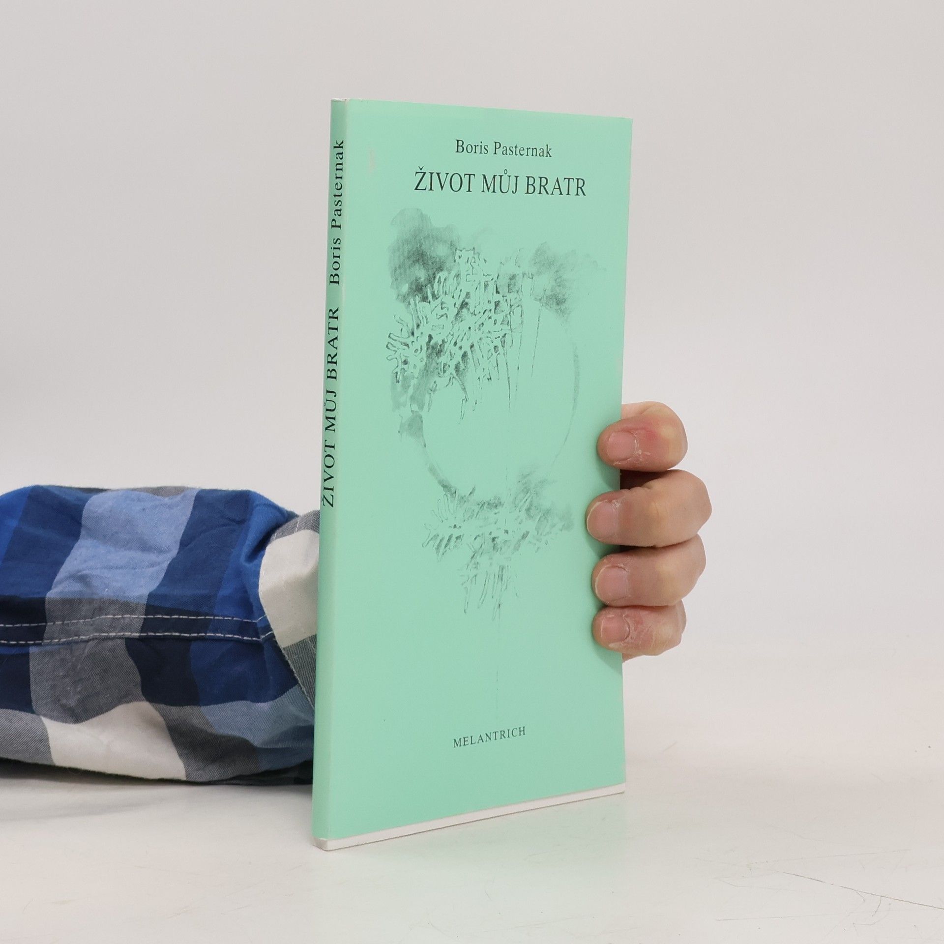 Život můj bratr : lyrika