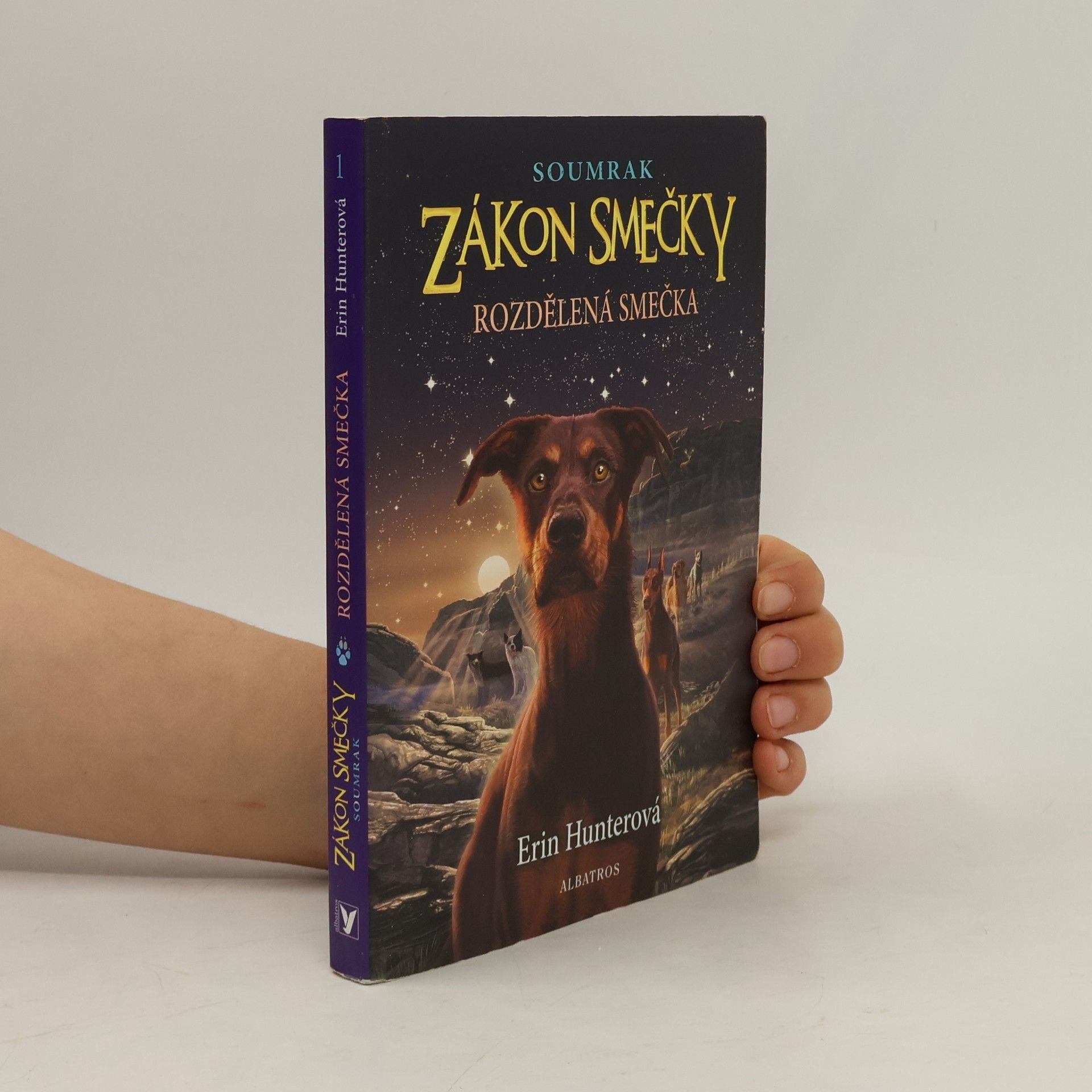 Erin Hunter Rozdělená smečka