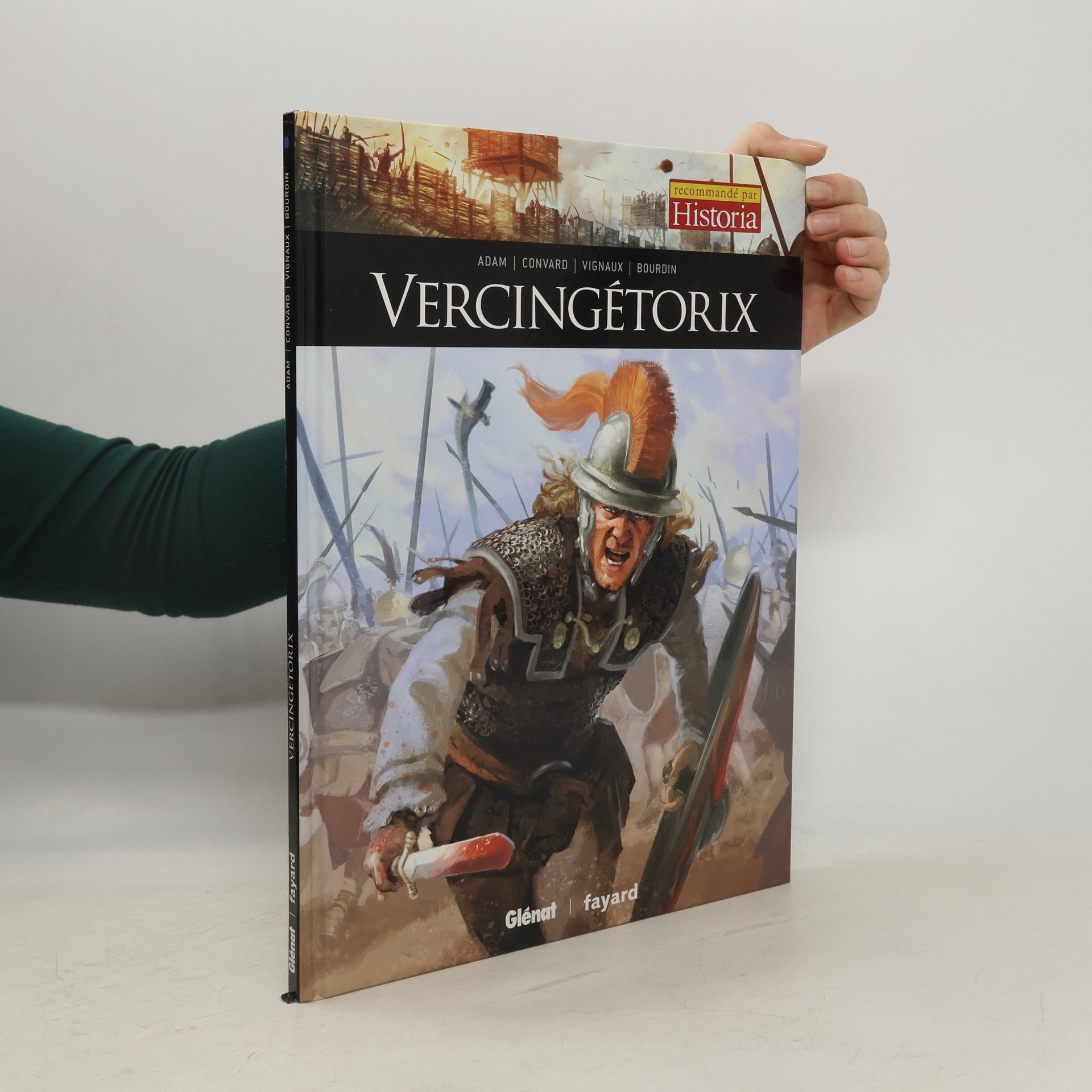 Stéphane Bourdin Vercingétorix