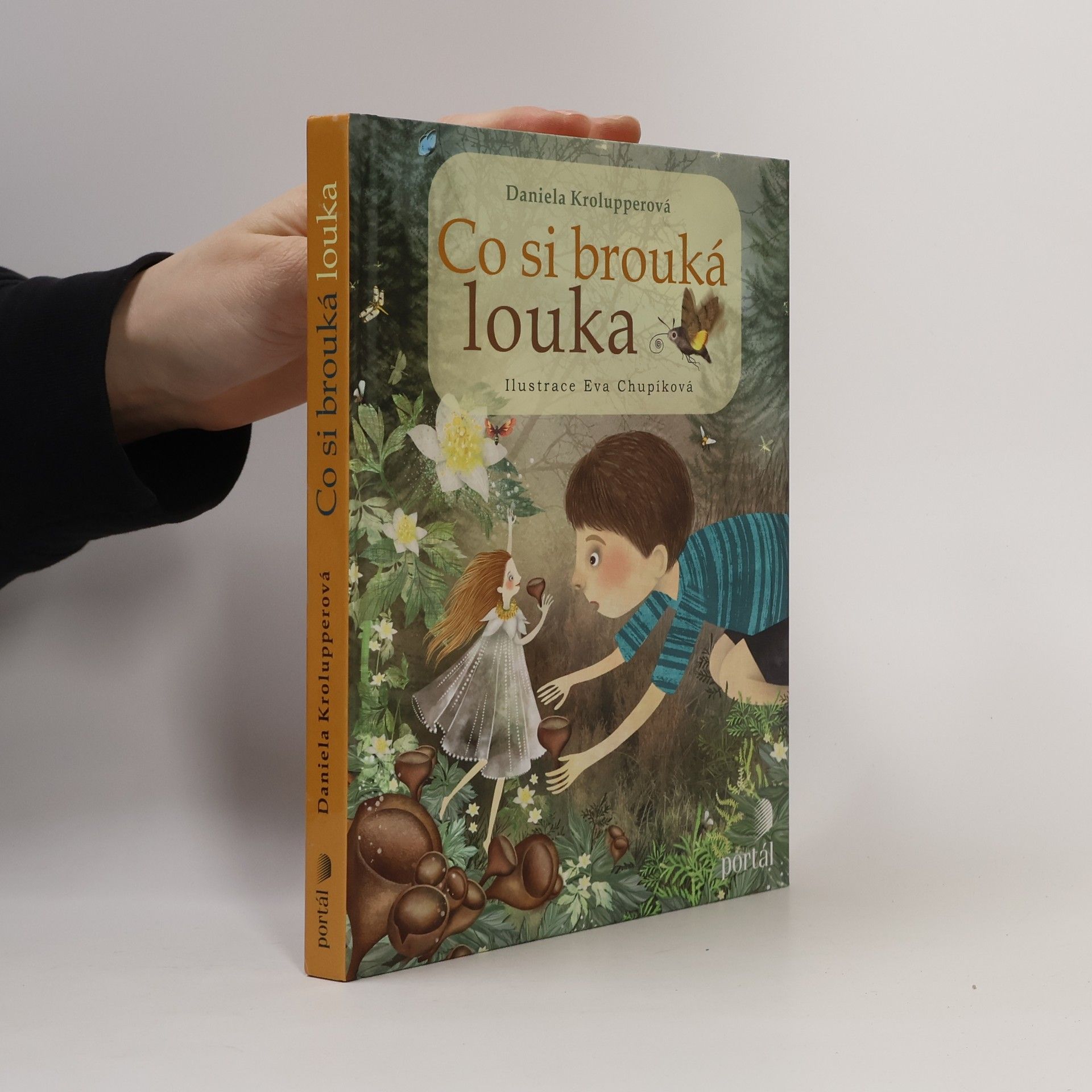 Daniela Krolupperová Co si brouká louka