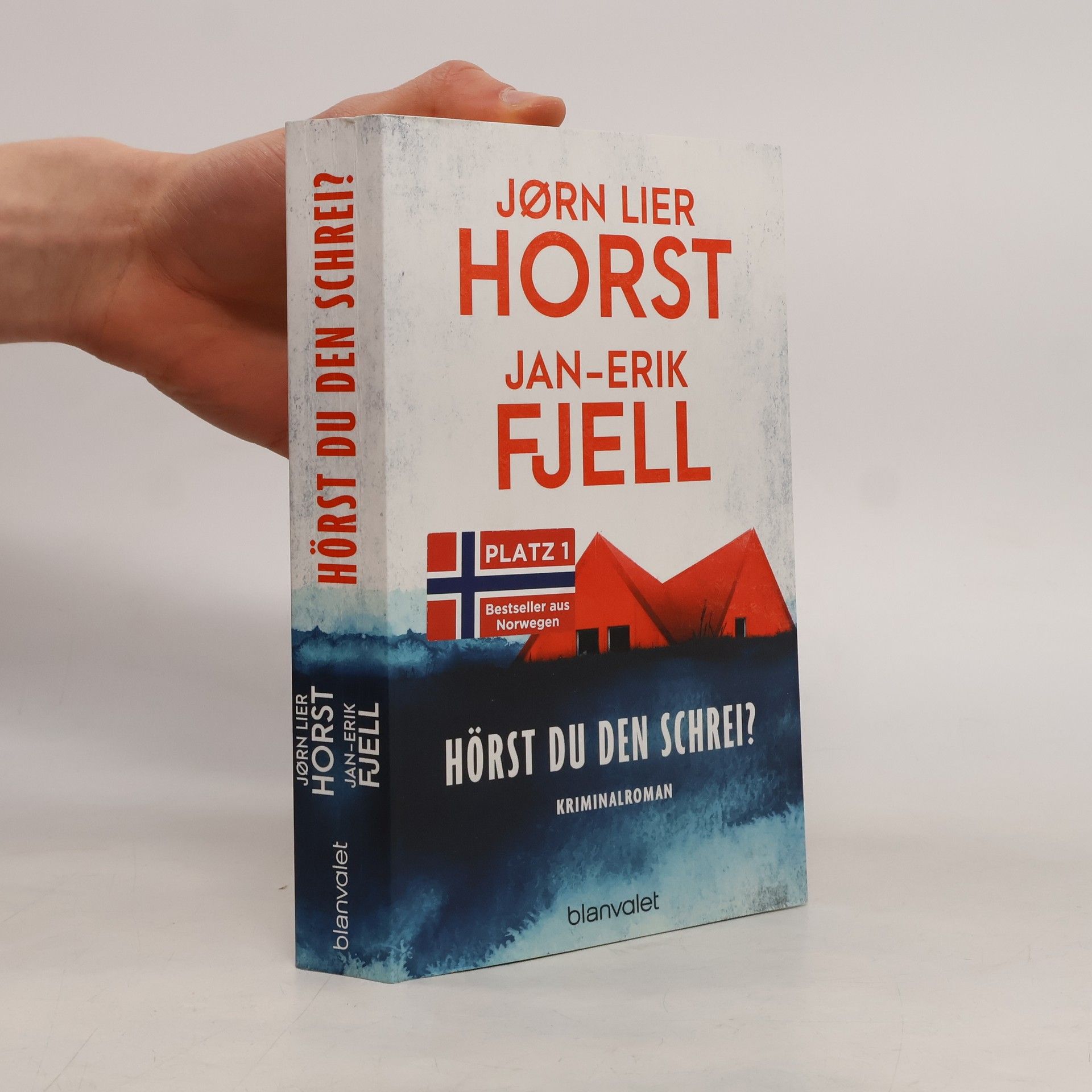 Jørn Lier Horst Hörst du den Schrei?