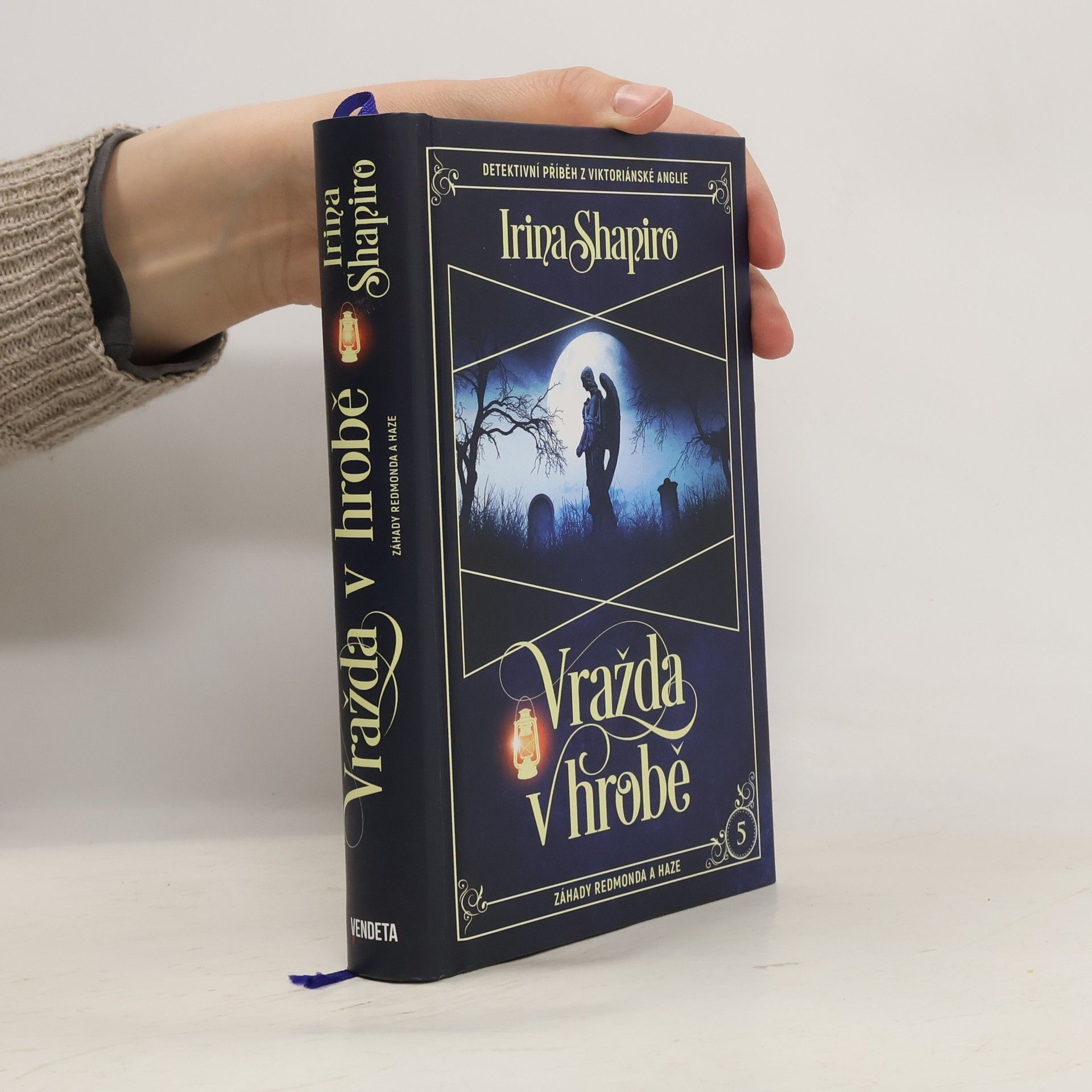 Irina Shapiro Vražda v hrobě