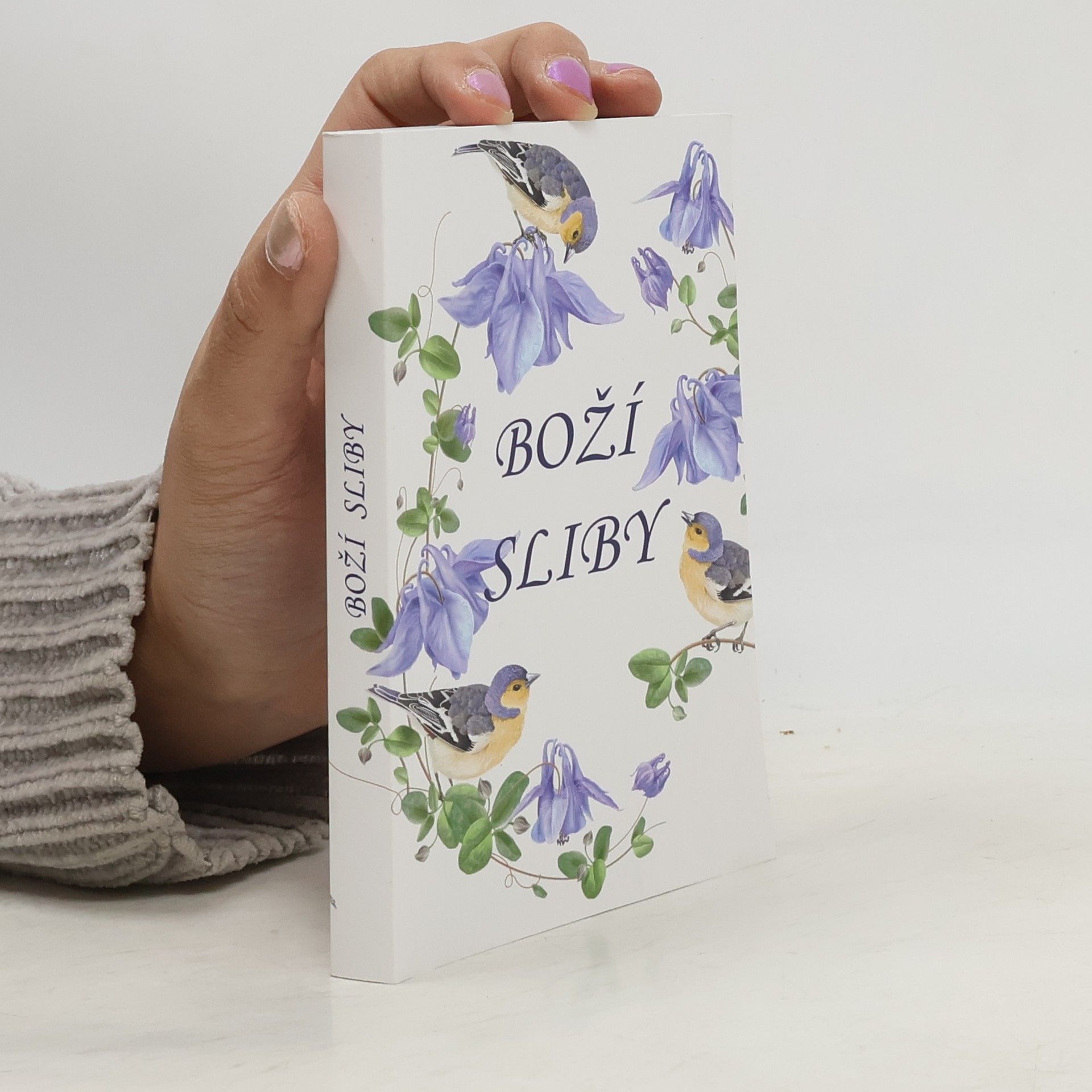 Collectif d'auteurs Boží sliby