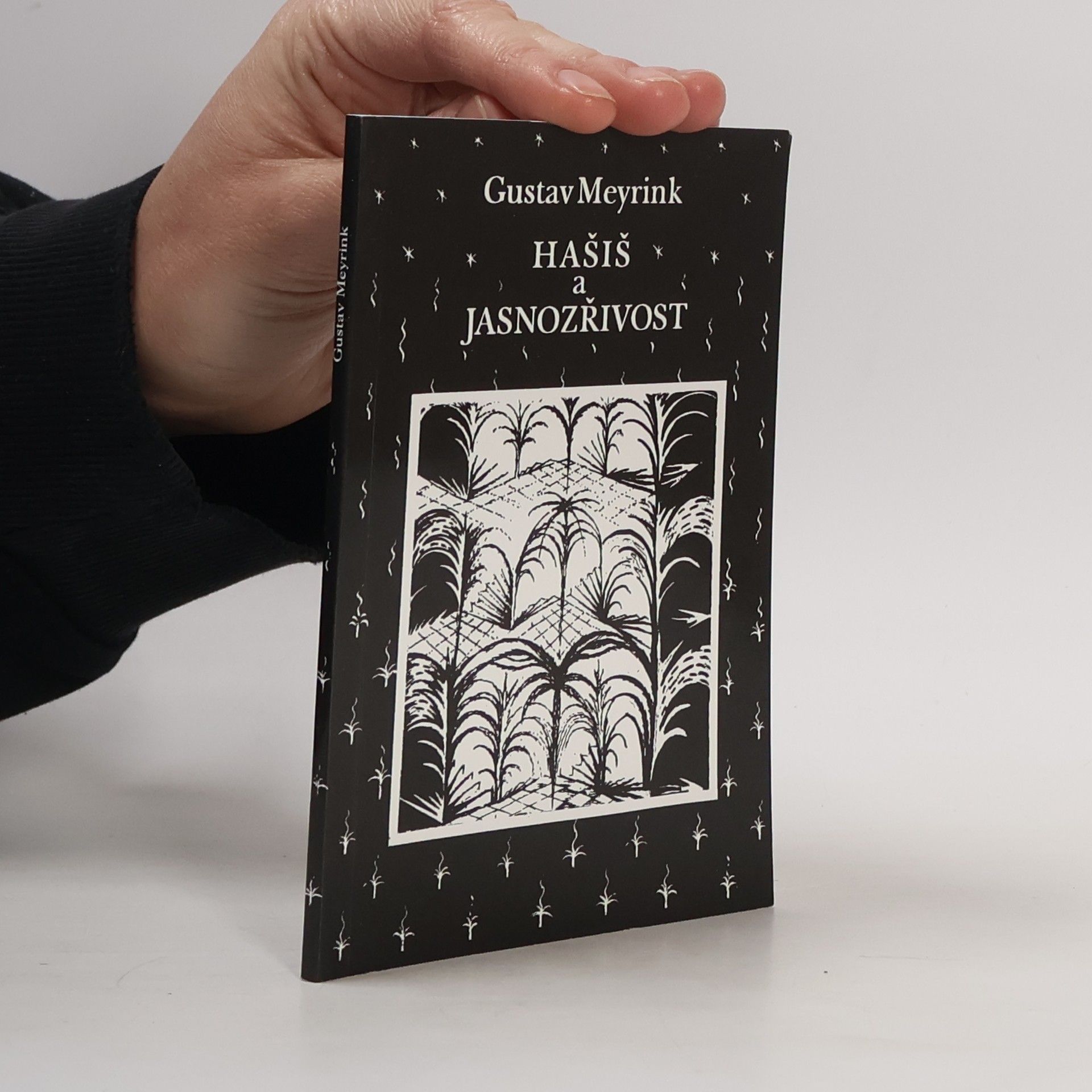 Gustav Meyrink Hašiš a jasnozřivost