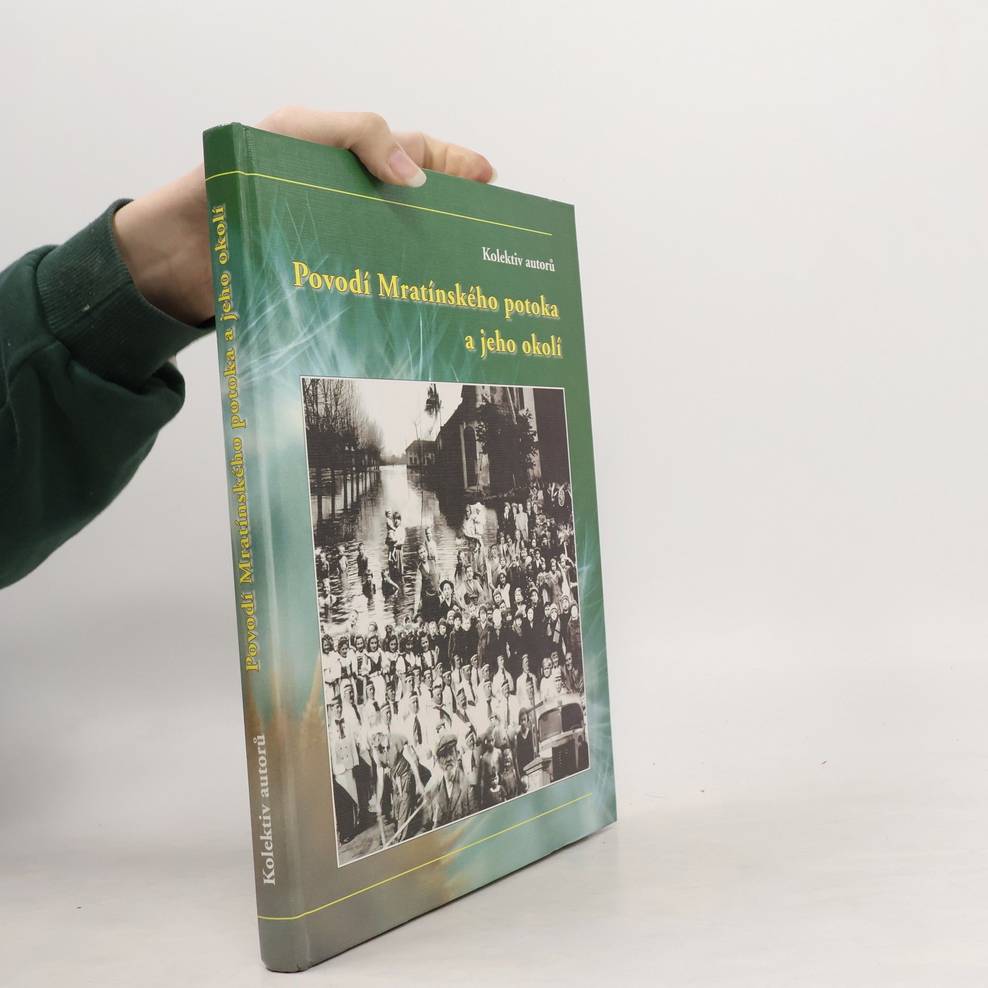 Hana Závorková Povodí Mratínského potoka a jeho okolí