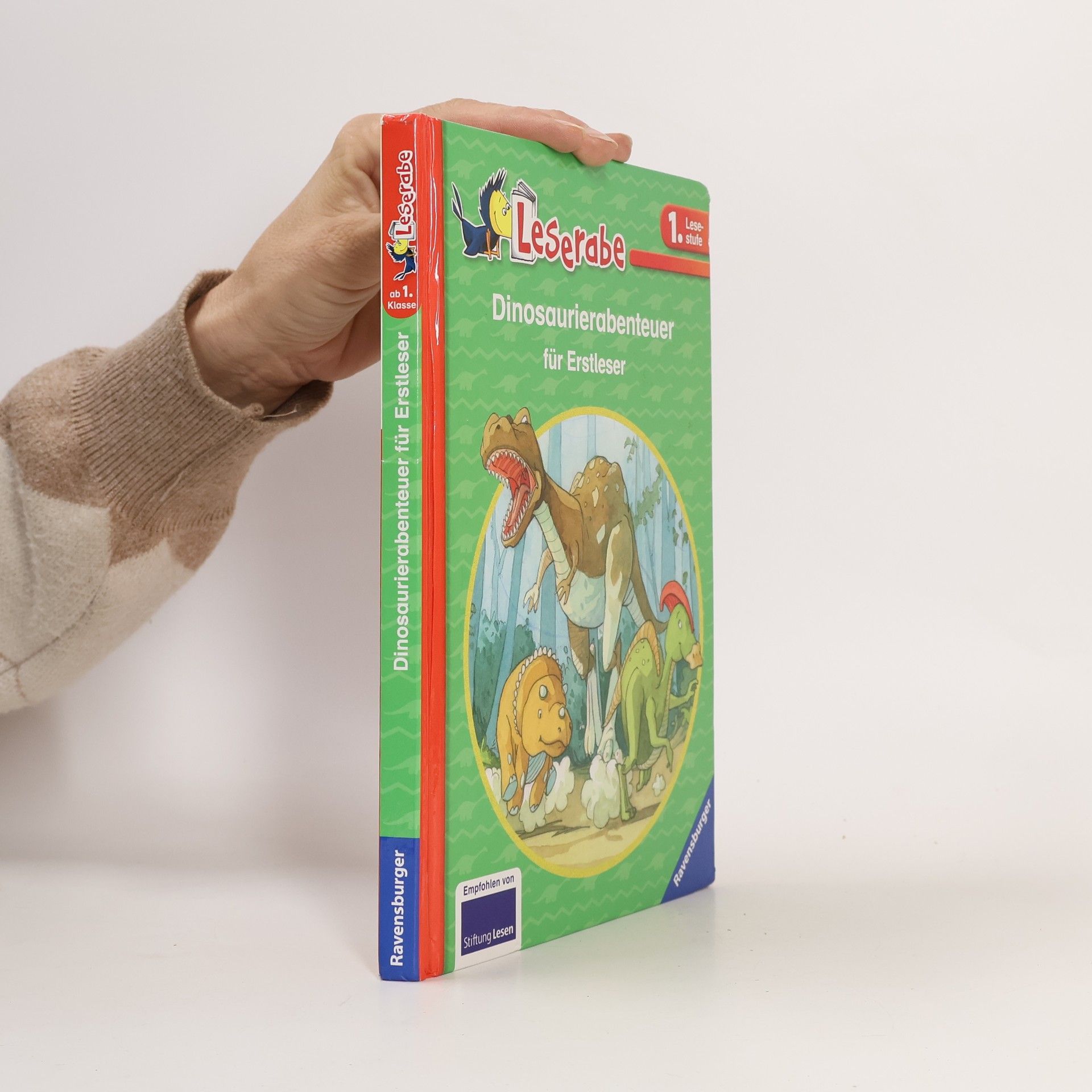 Claudia Ondracek Dinoabenteuer für Erstleser