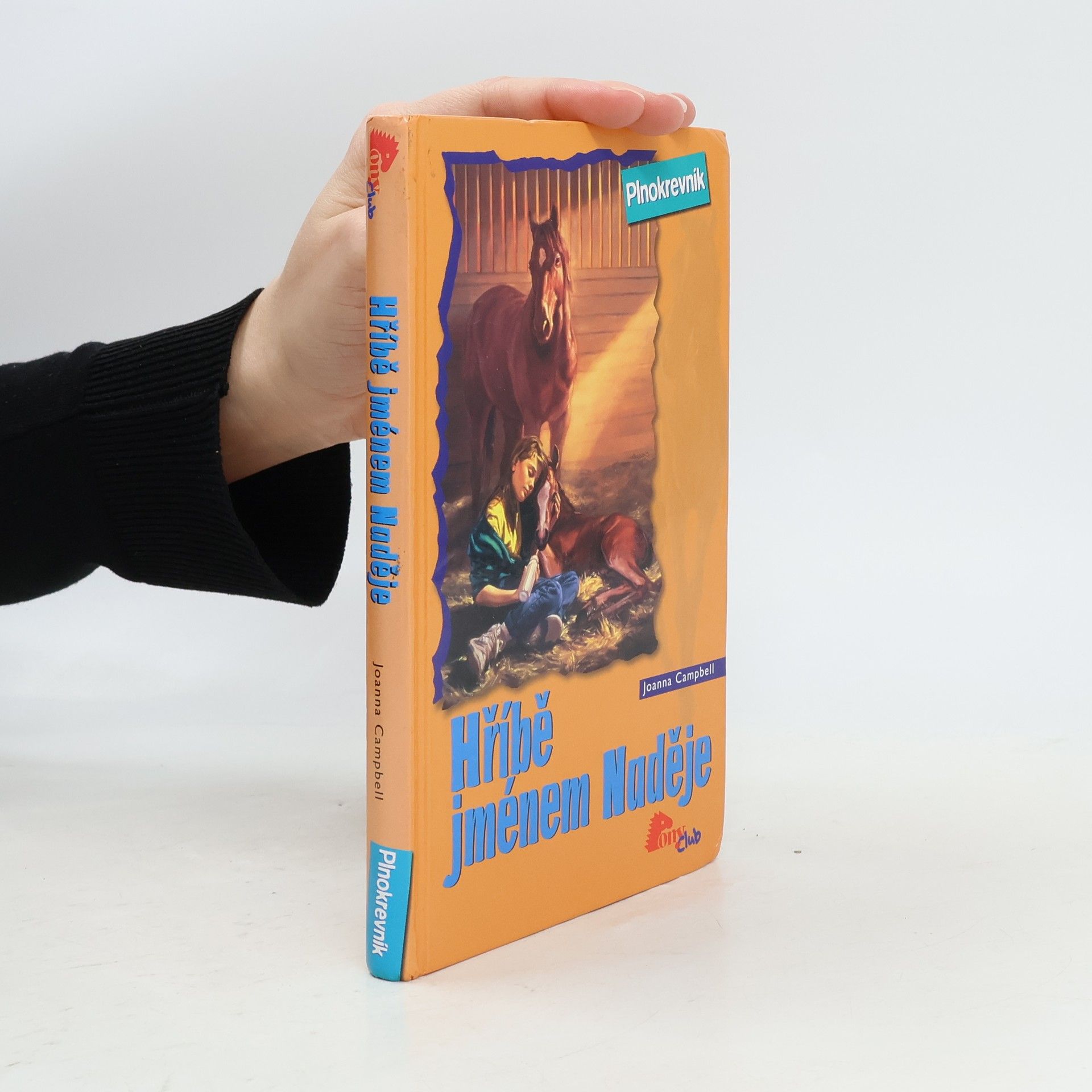 Jo Ann Simon Hříbě jménem Naděje