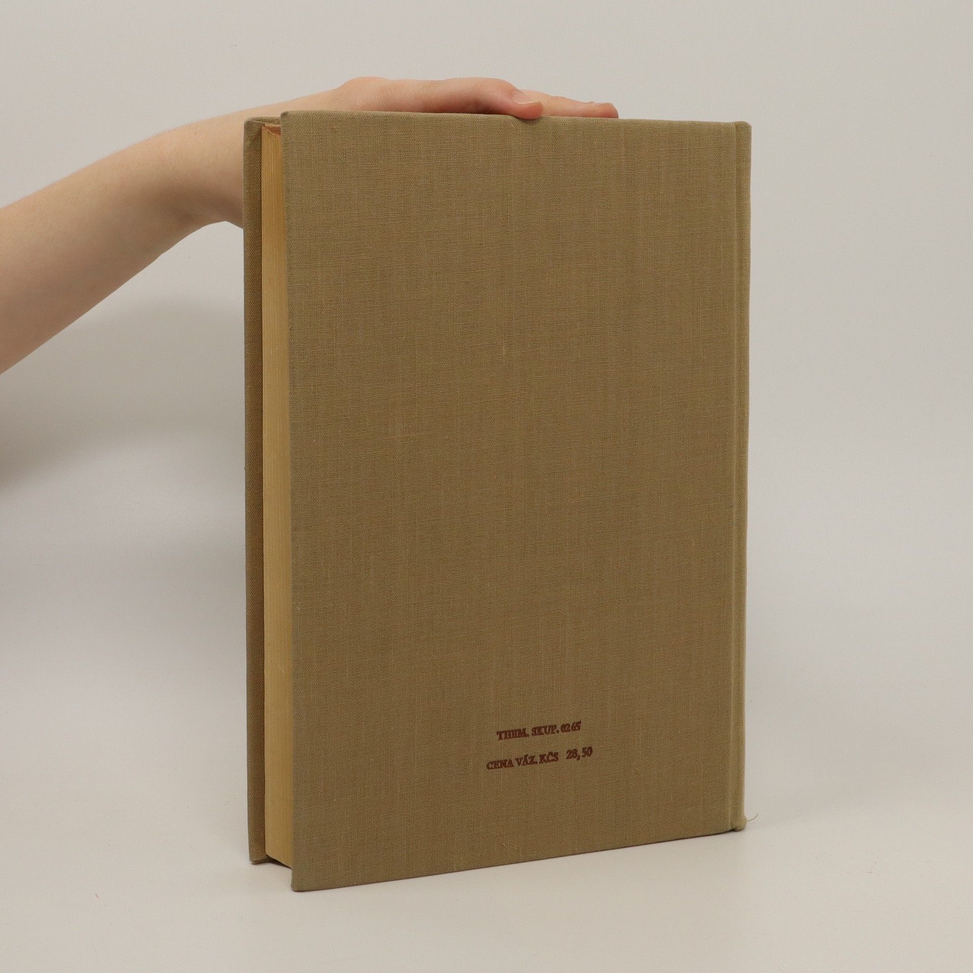 Auteurscollectief Přehled československých dějin III. 1918-1945