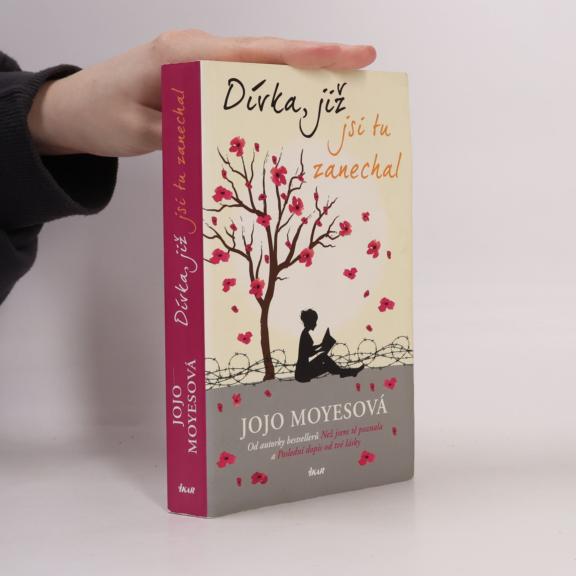 Jojo Moyes Dívka, již jsi tu zanechal