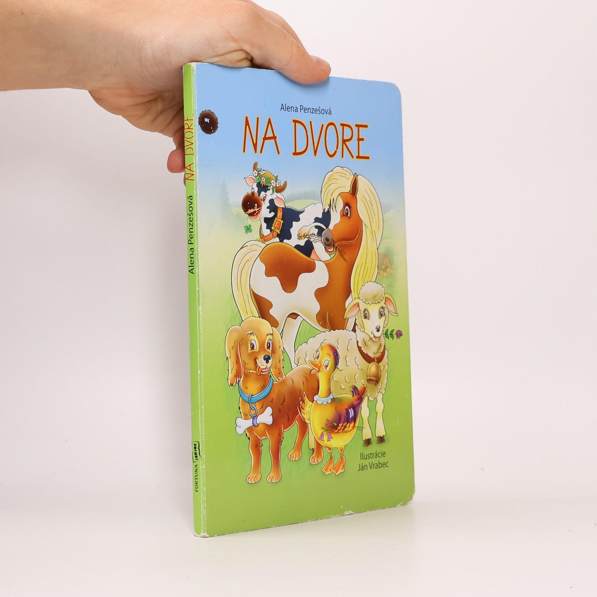 Alena Penzešová Na dvore