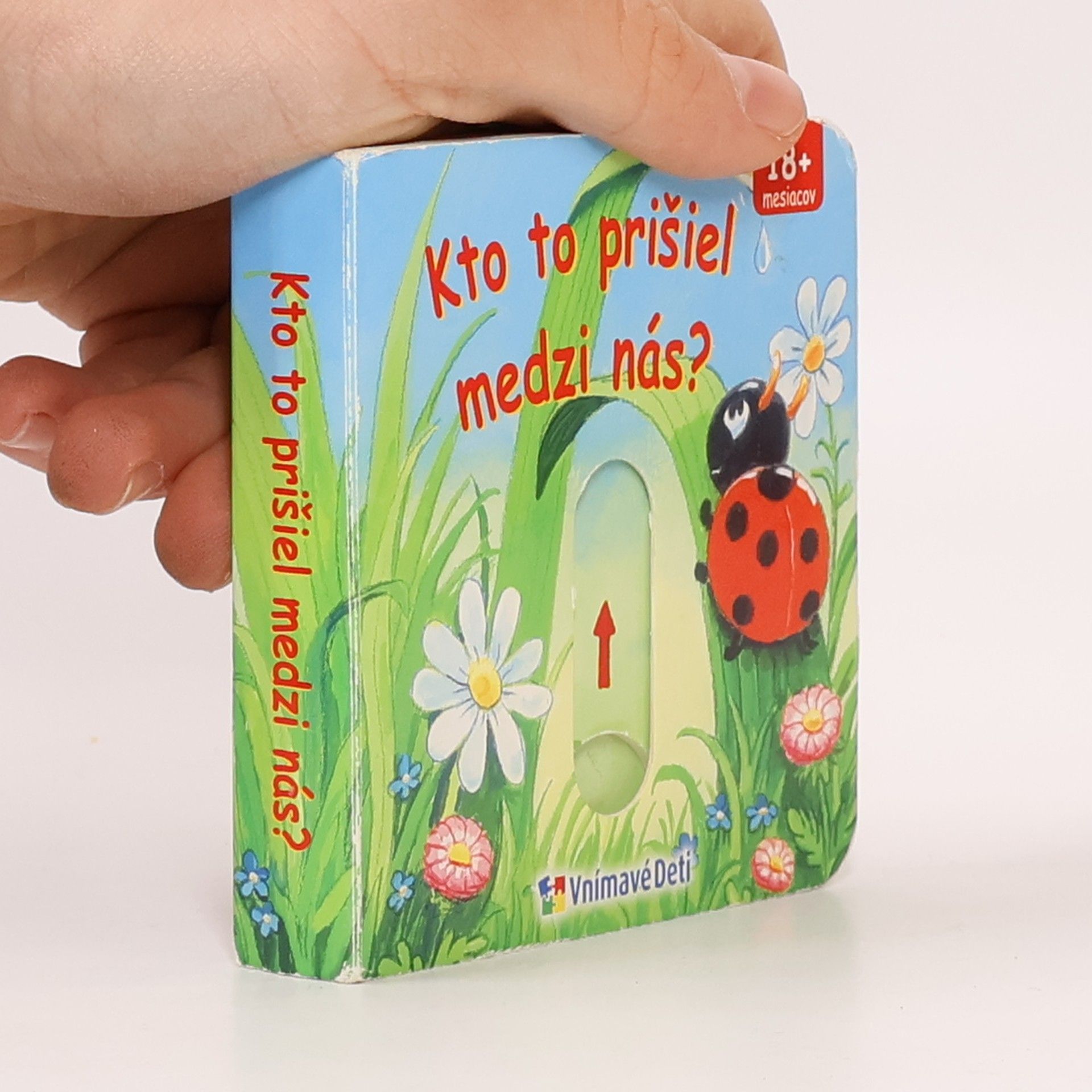 Kolektiv autorů Kto to prišiel medzi nás?