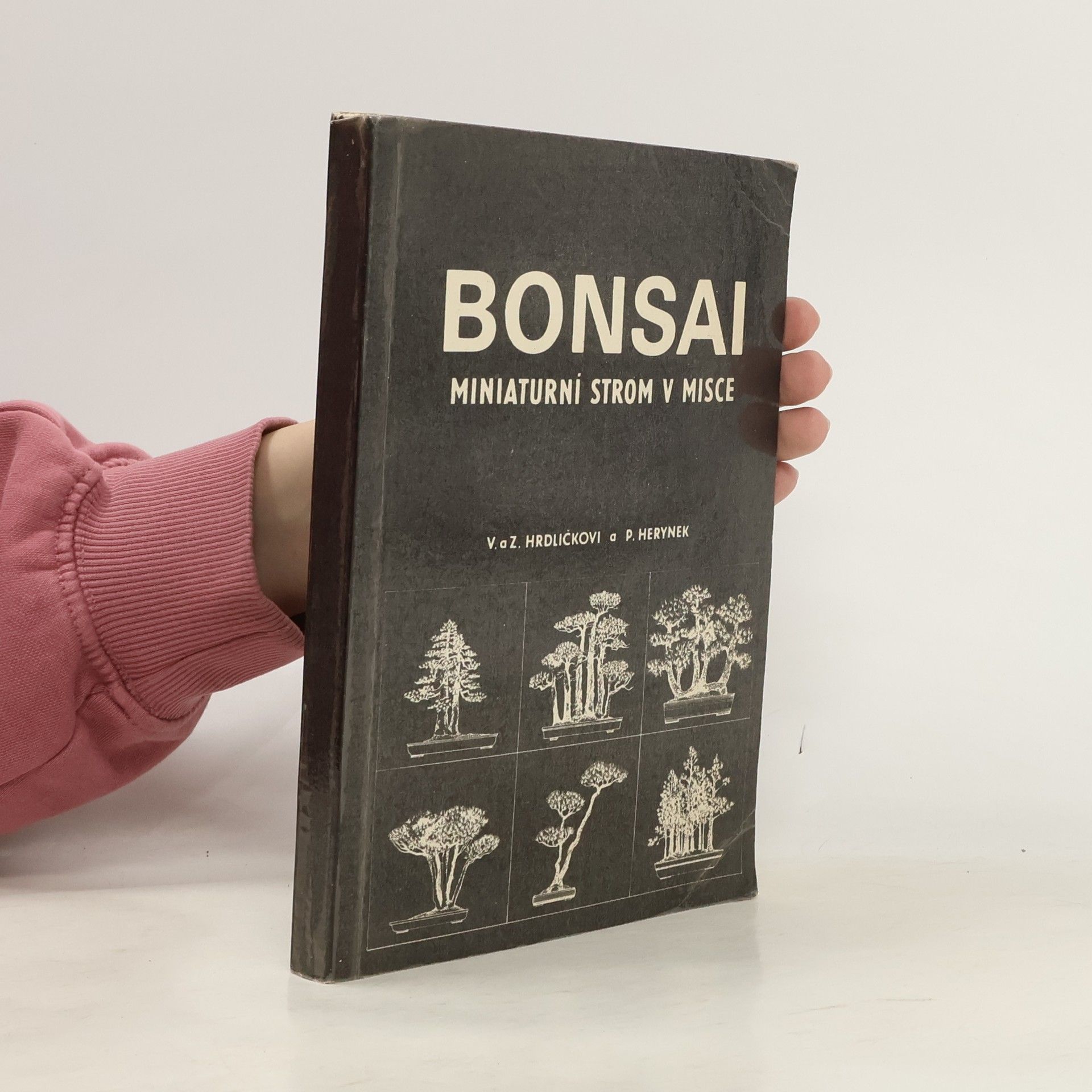 Zdeněk Hrdlička Bonsai. Miniaturní strom v misce