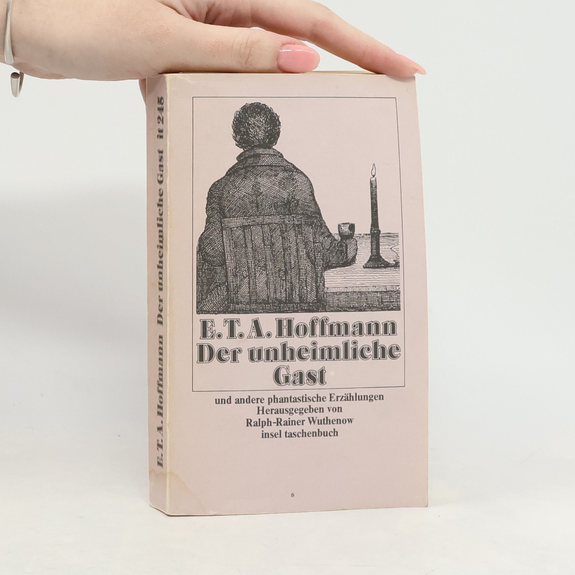 Der unheimliche Gast und andere phantastische Erzählungen