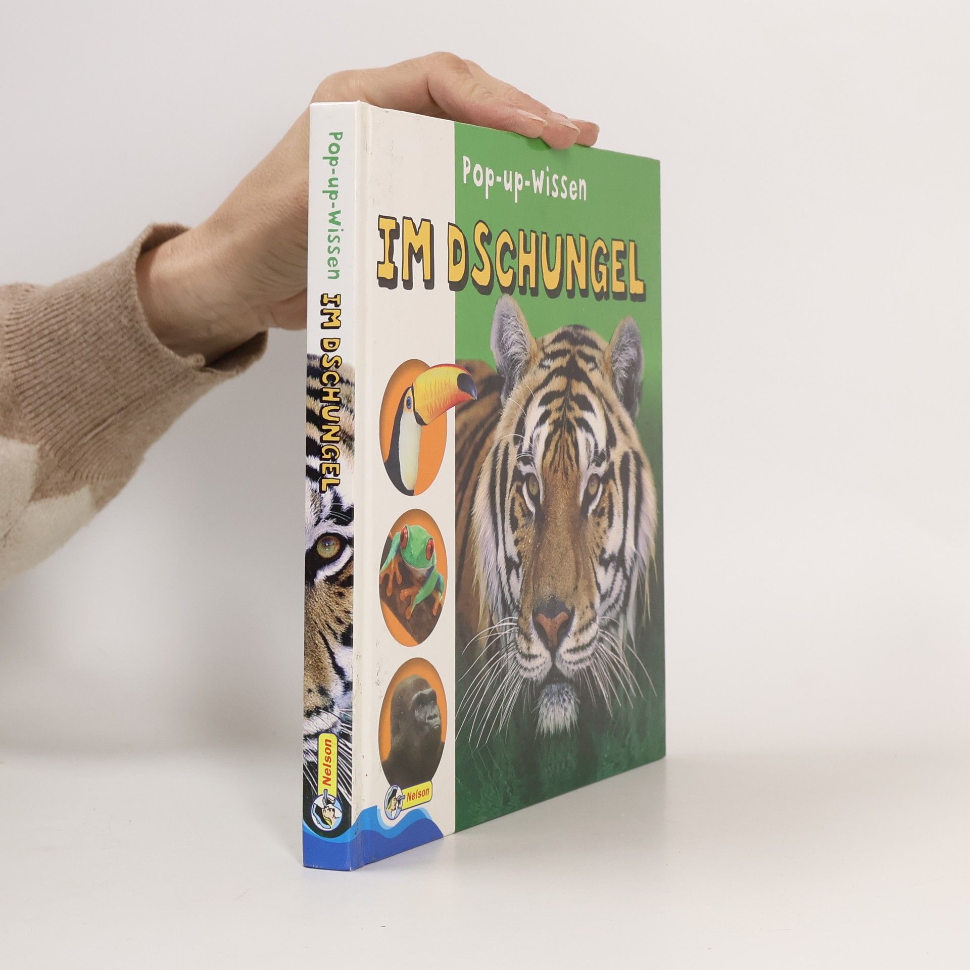 Wiebke Krabbe Pop-up-Wissen - Im Dschungel