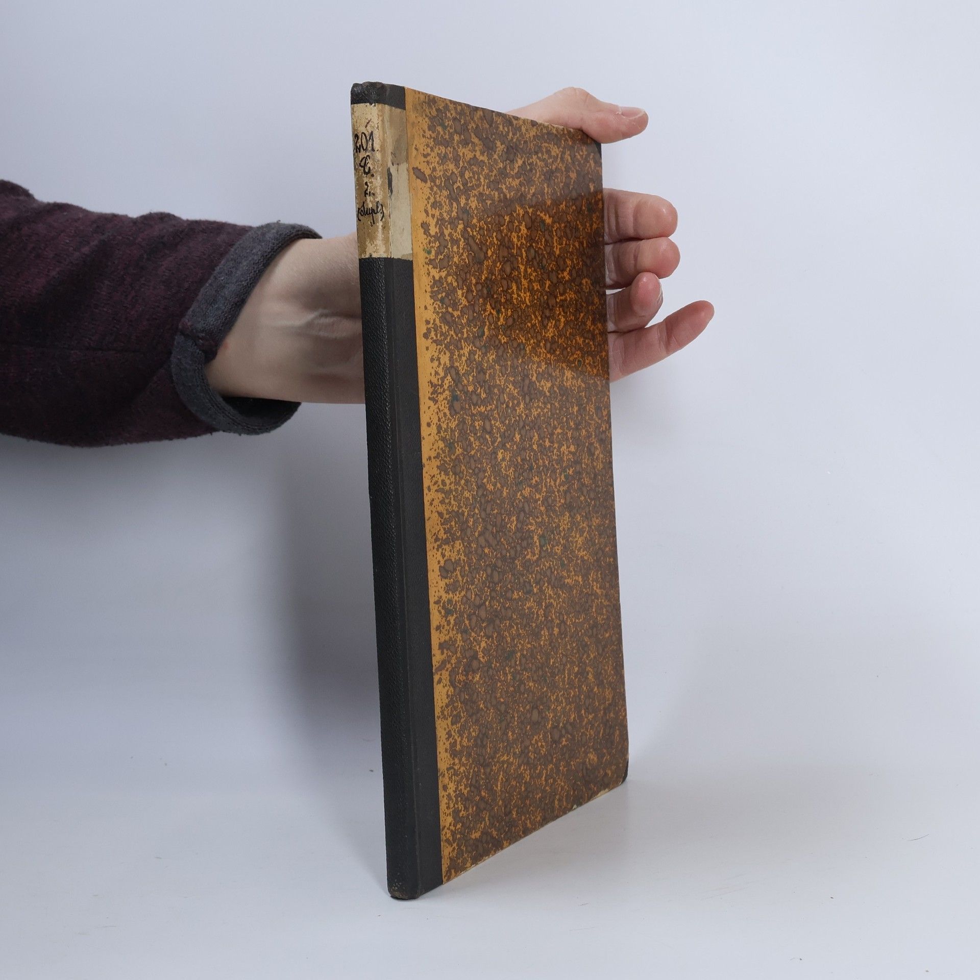 Měkkýší třetihorních usazenin v severozápadních Čechách